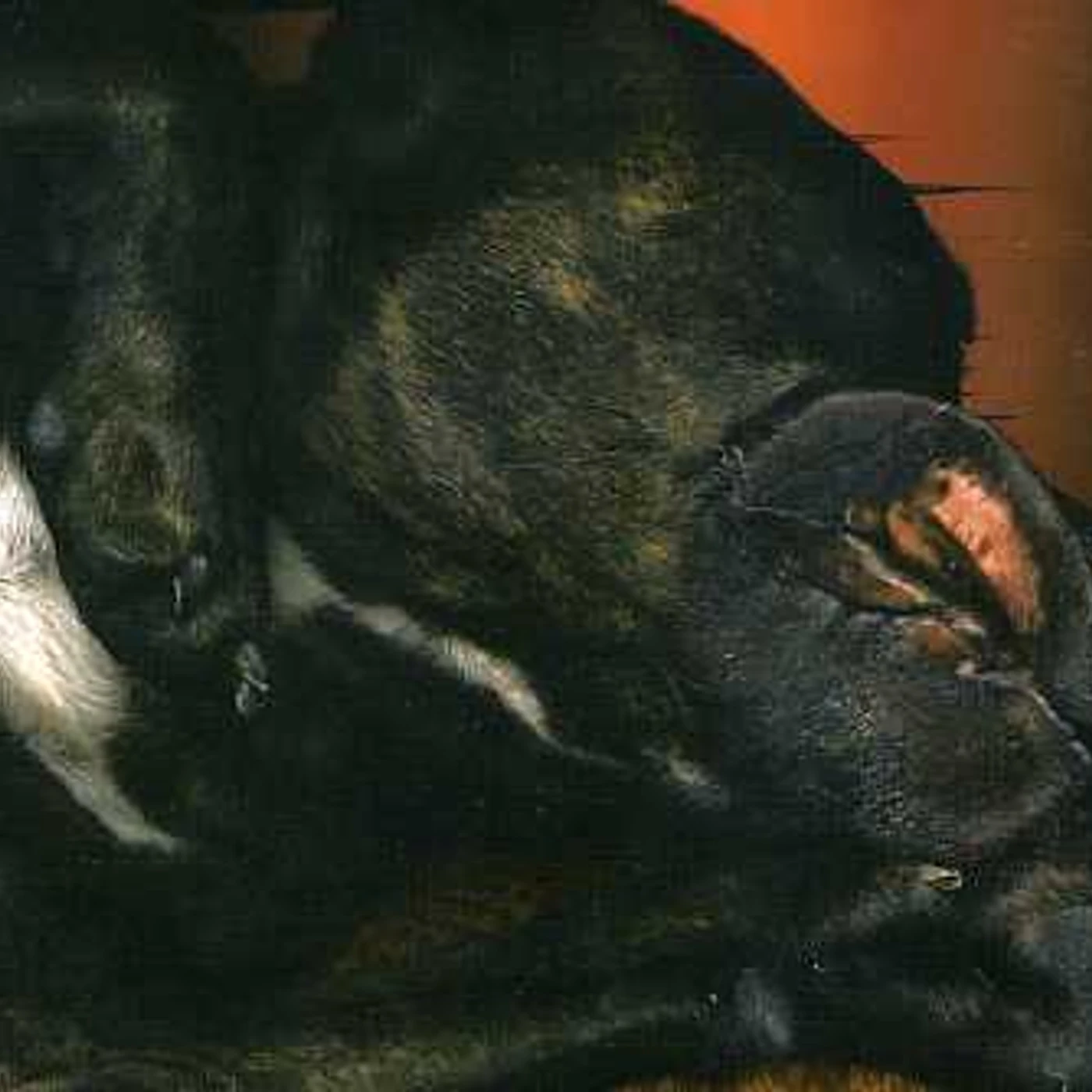 Mr 76ix HITS OF 76IX PT 2 CD