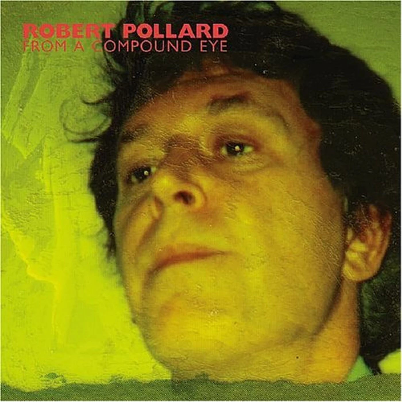 Robert Pollard FROM A COMPOUND EYE Vinyl Record
