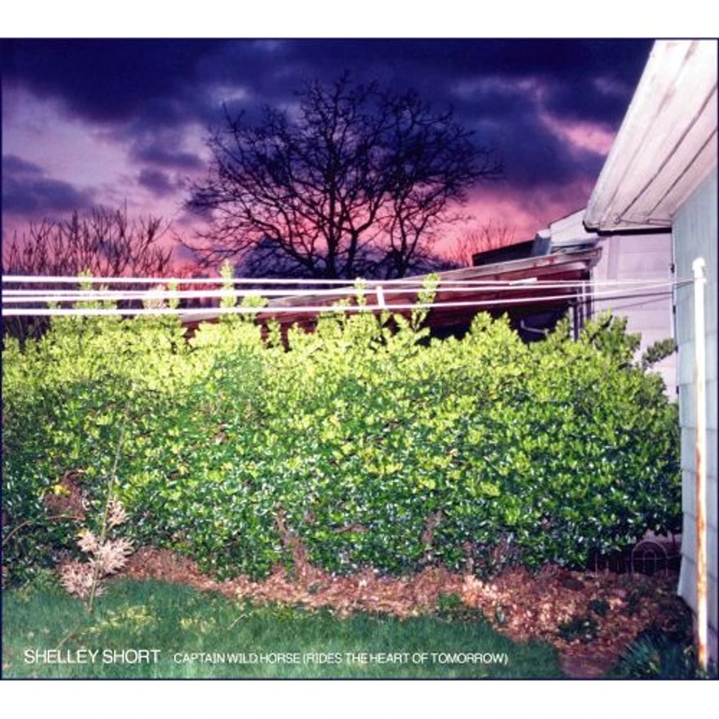 Shelley Short CAPTAIN WILD HORSE RIDES THE HEART OF TOMORROW CD