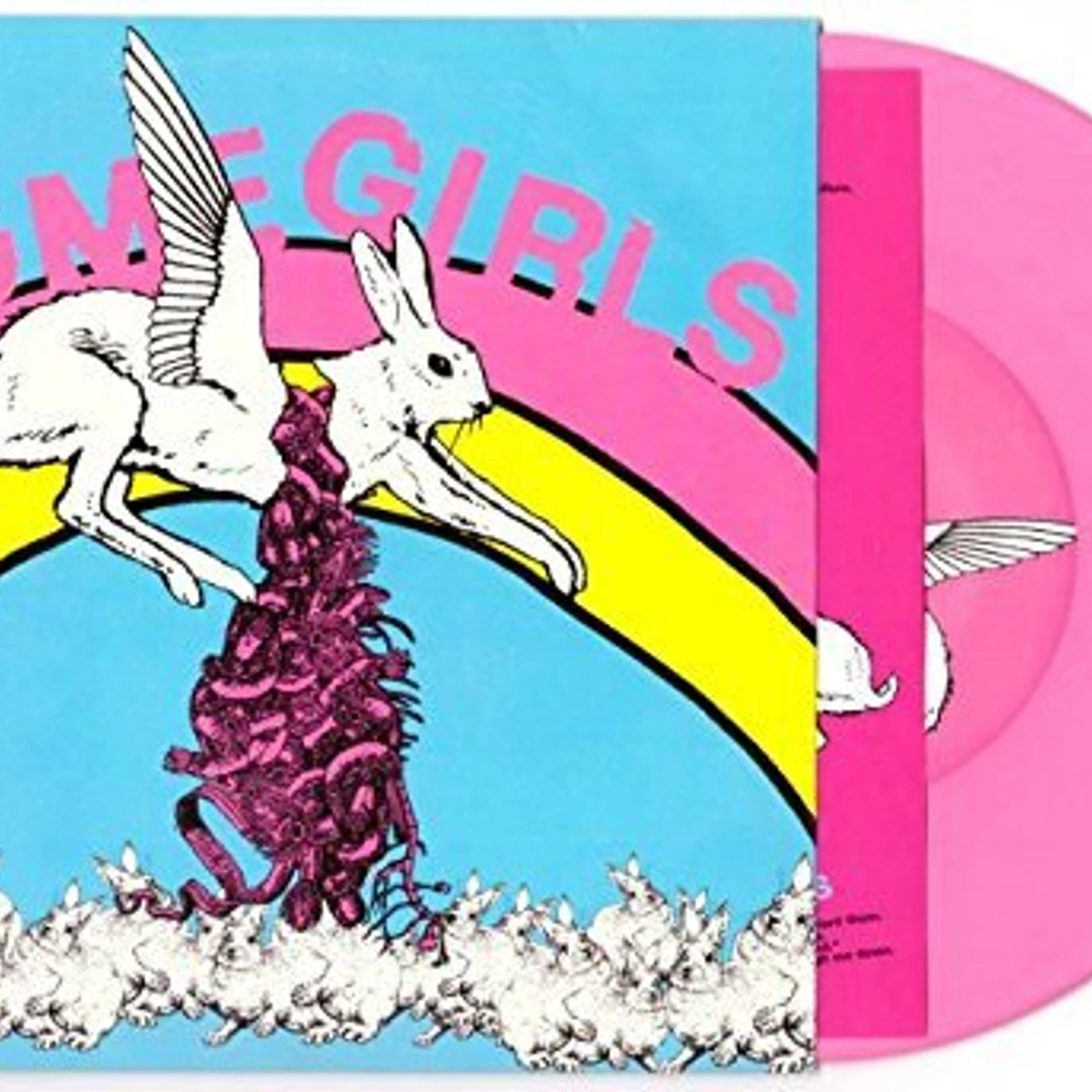 Some Girls DNA WILL HAVE ITS SAY Vinyl Record