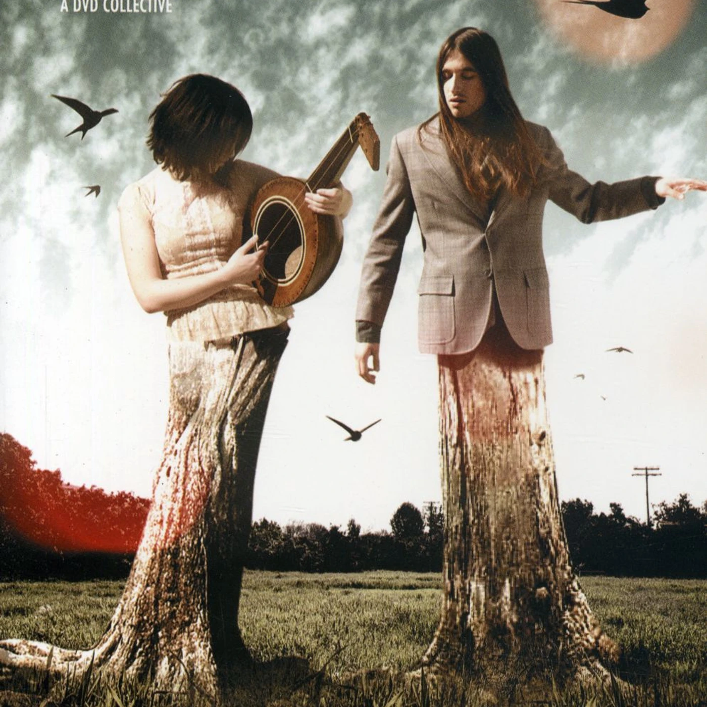 The Willowz SEEINSQUARES DVD