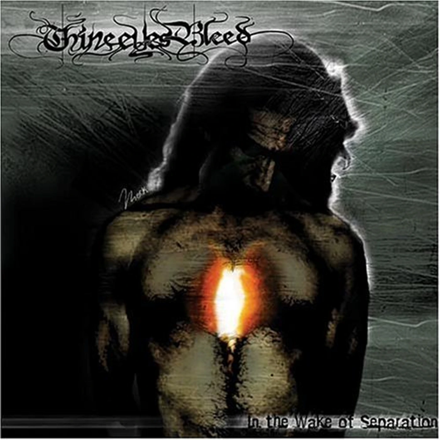 Thine Eyes Bleed IN THE WAKE OF SEPARATION CD