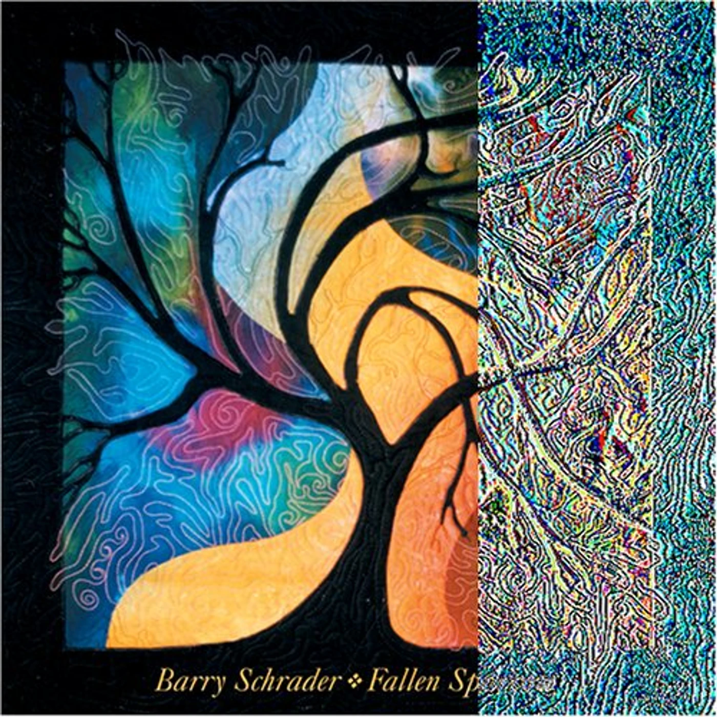 Barry Schrader FALLEN SPARROW CD