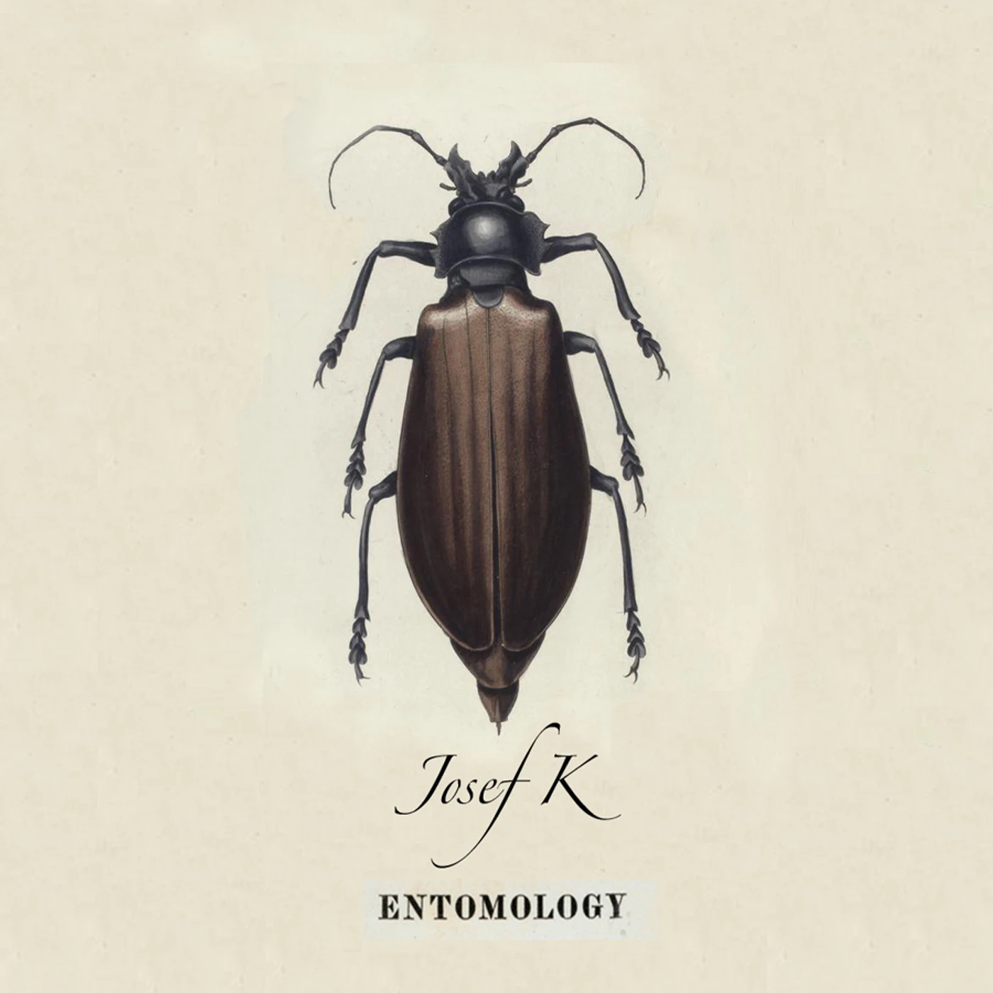 Josef K ENTOMOLOGY CD