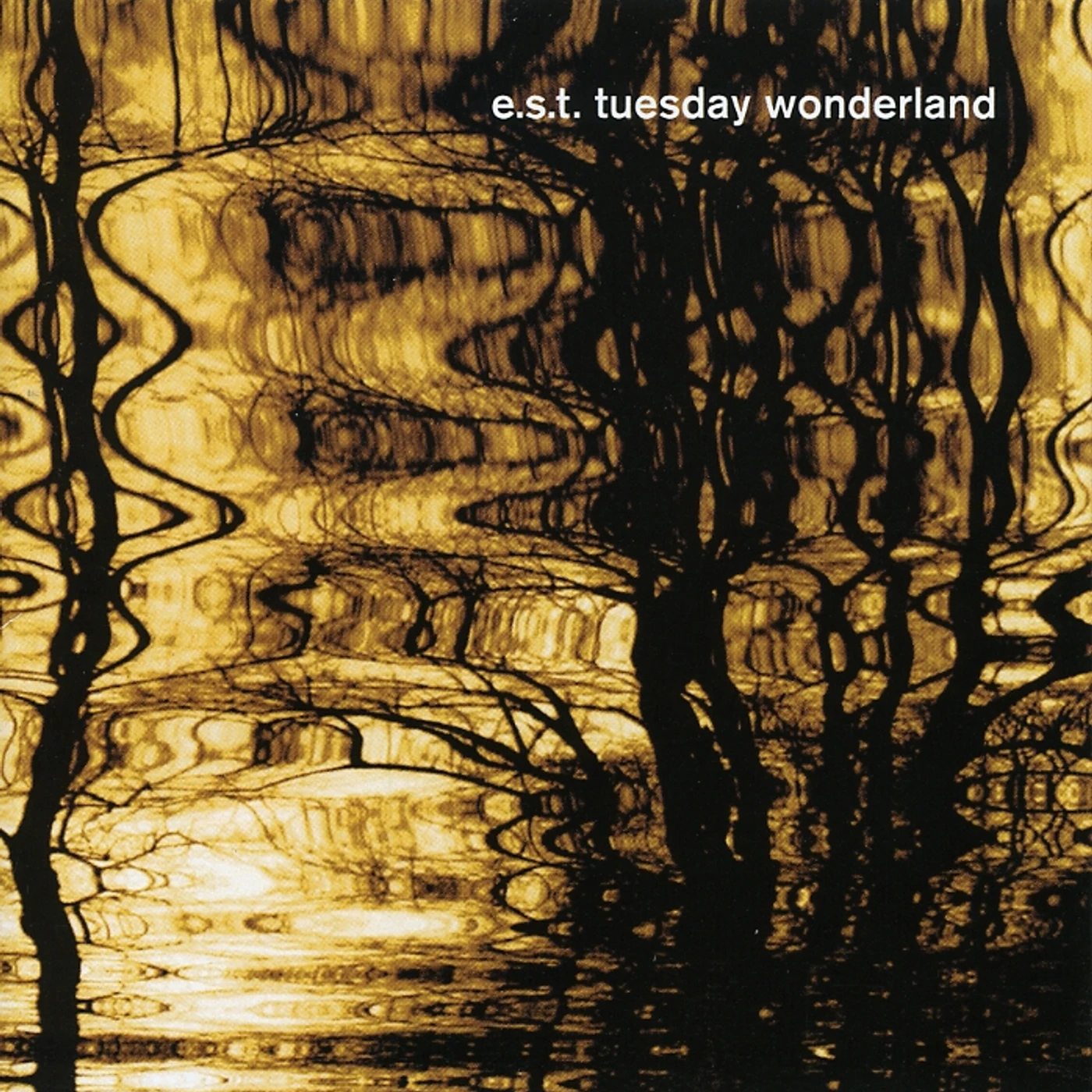 Esbjörn Svensson Trio TUESDAY WONDERLAND CD