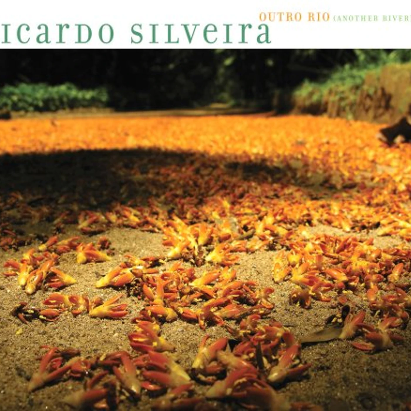 Ricardo Silveira OUTRO RIO (ANOTHER RIVER) CD
