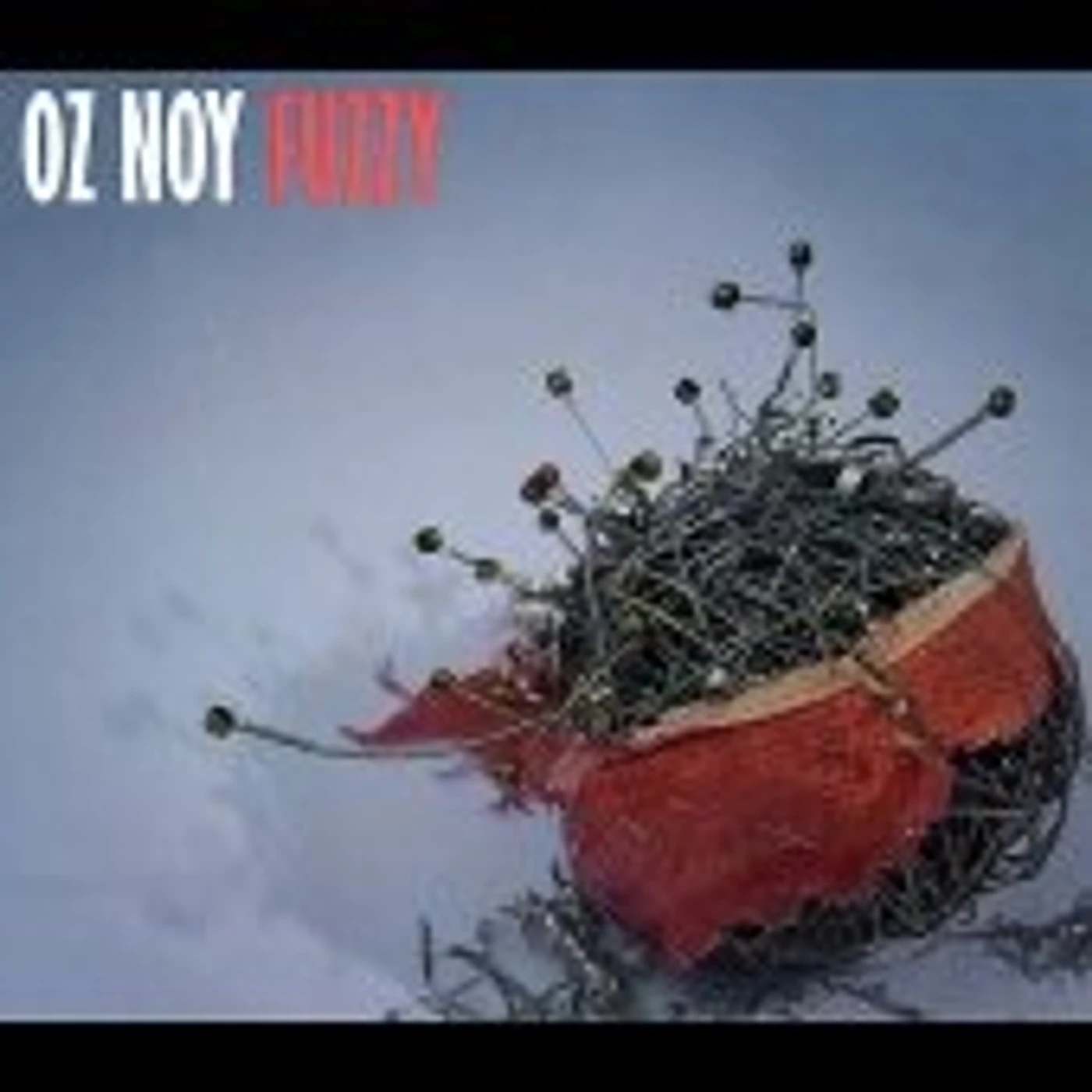 Oz Noy FUZZY CD