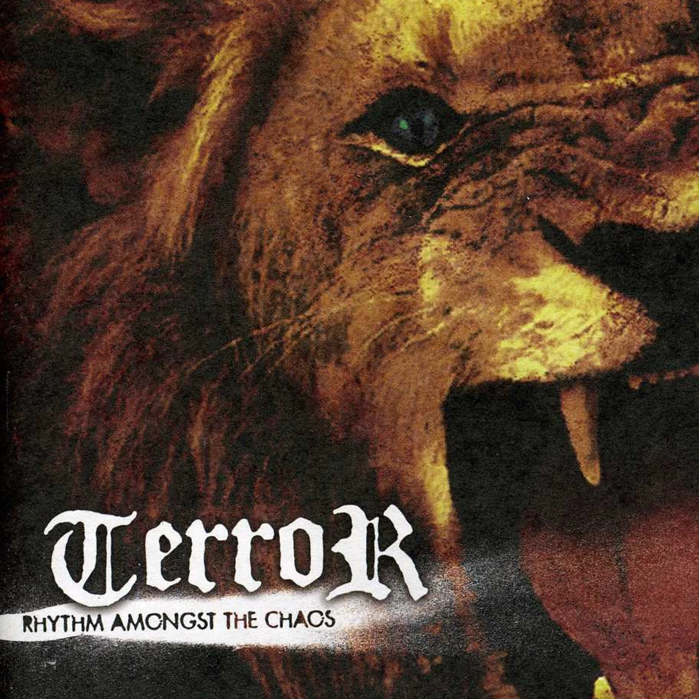 Terror RHYTHM AMONGST THE CHAOS CD
