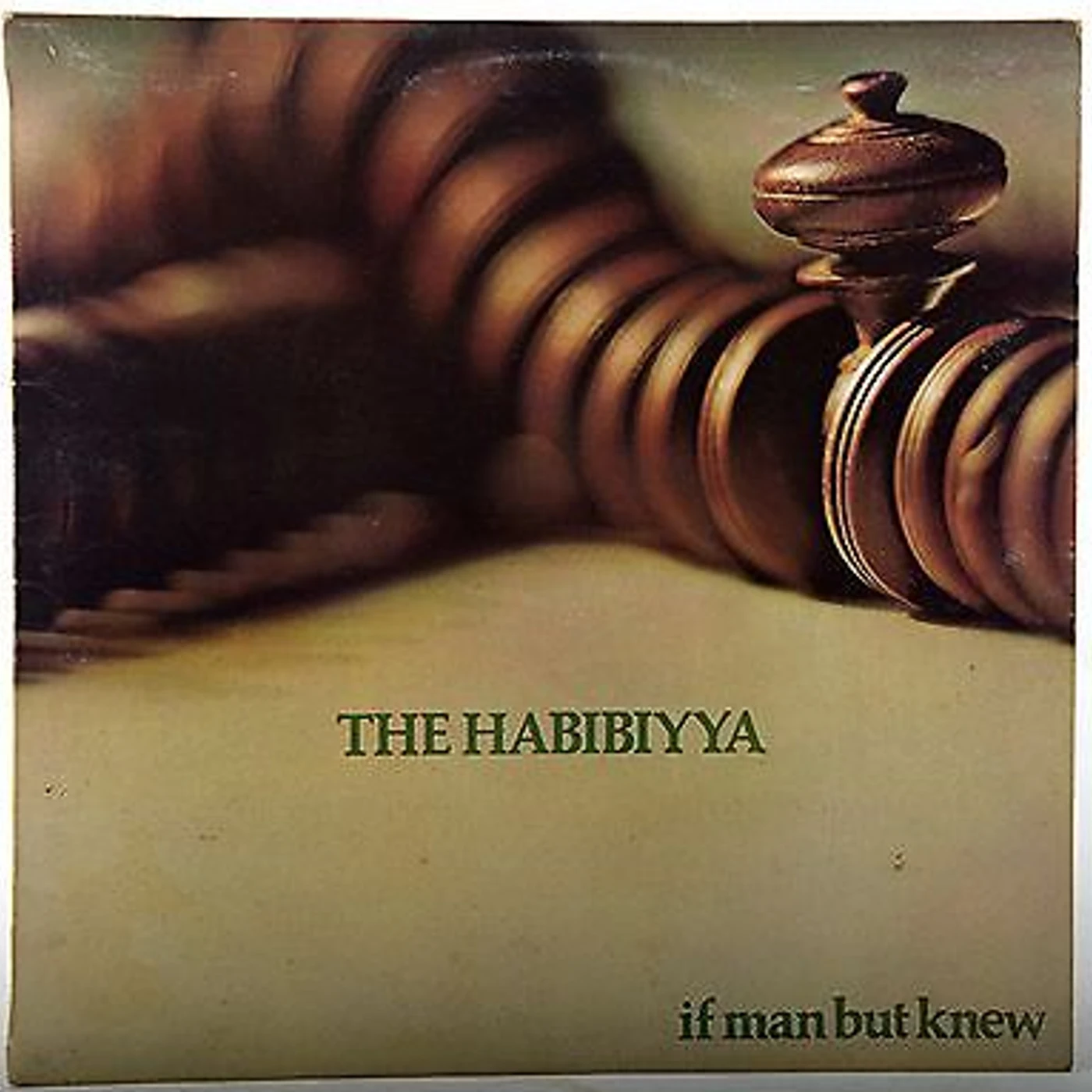 The Habibiyya IF MAN BUT KNEW Vinyl Record