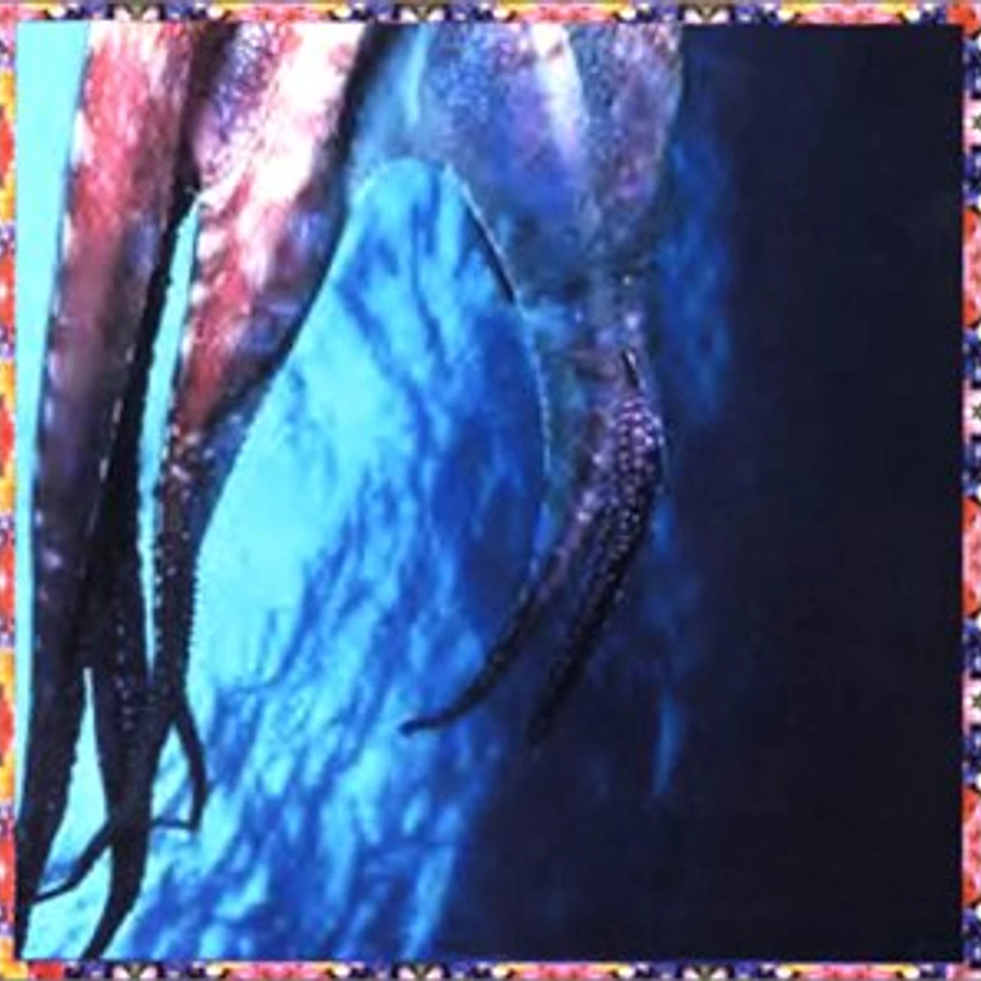 Time Of Orchids MELONWHISPER CD
