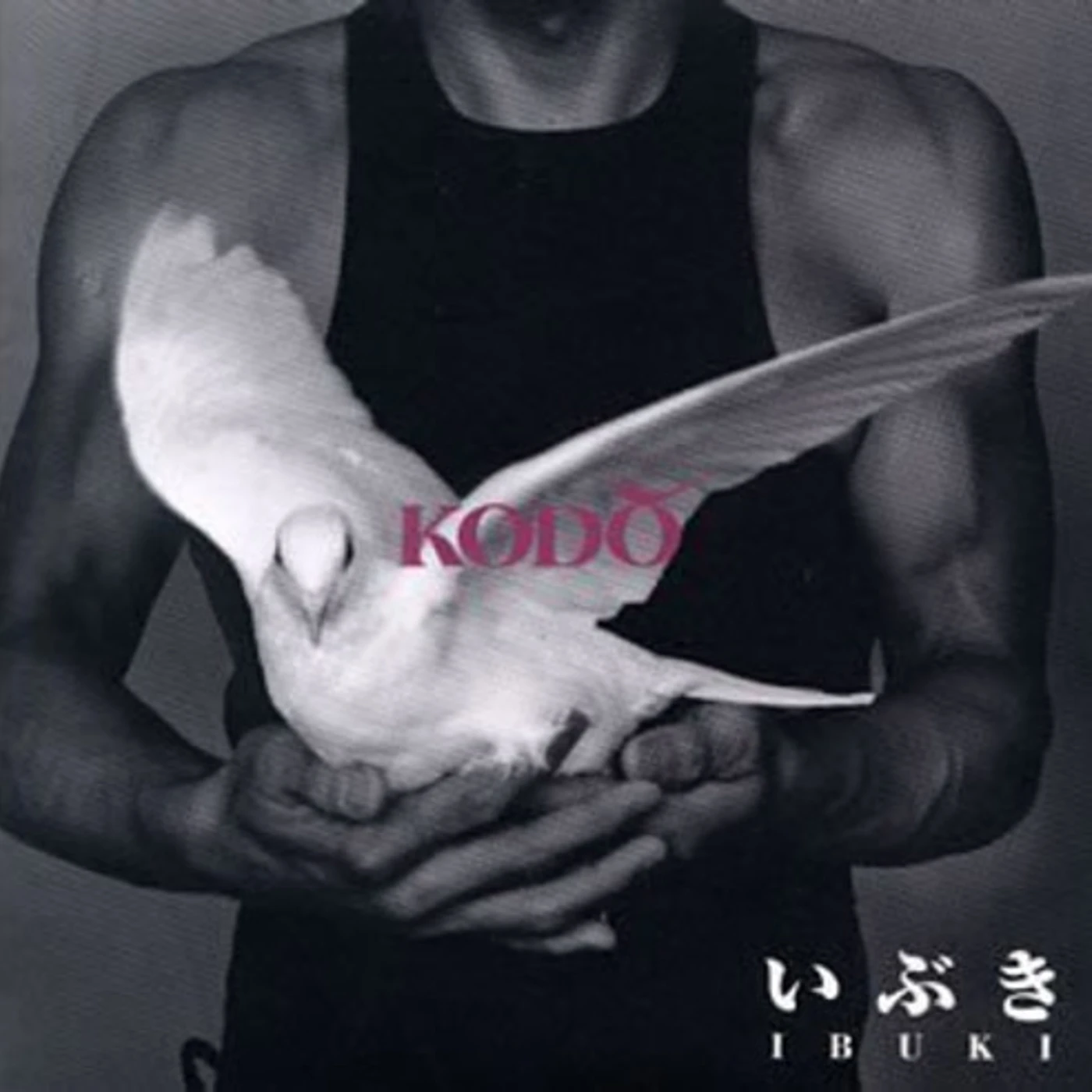 Kodo! IBUKI CD