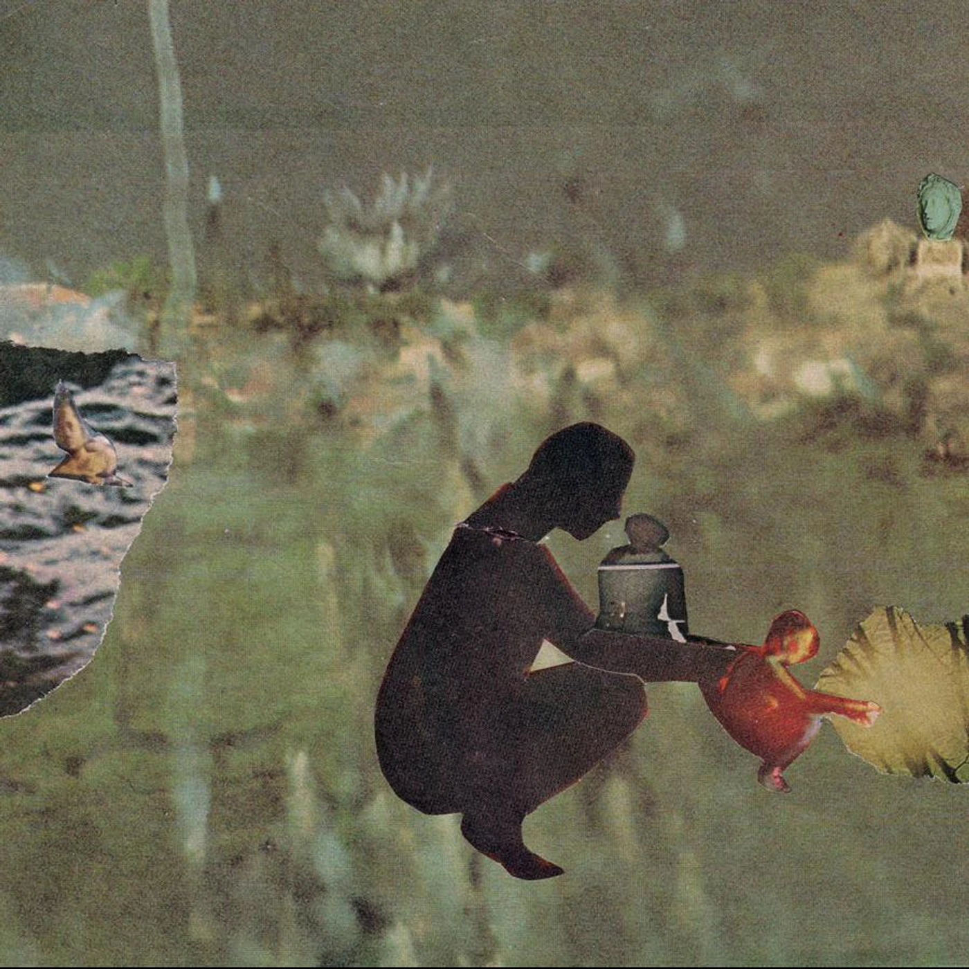Psycho and the Birds WE'VE MOVED Vinyl Record