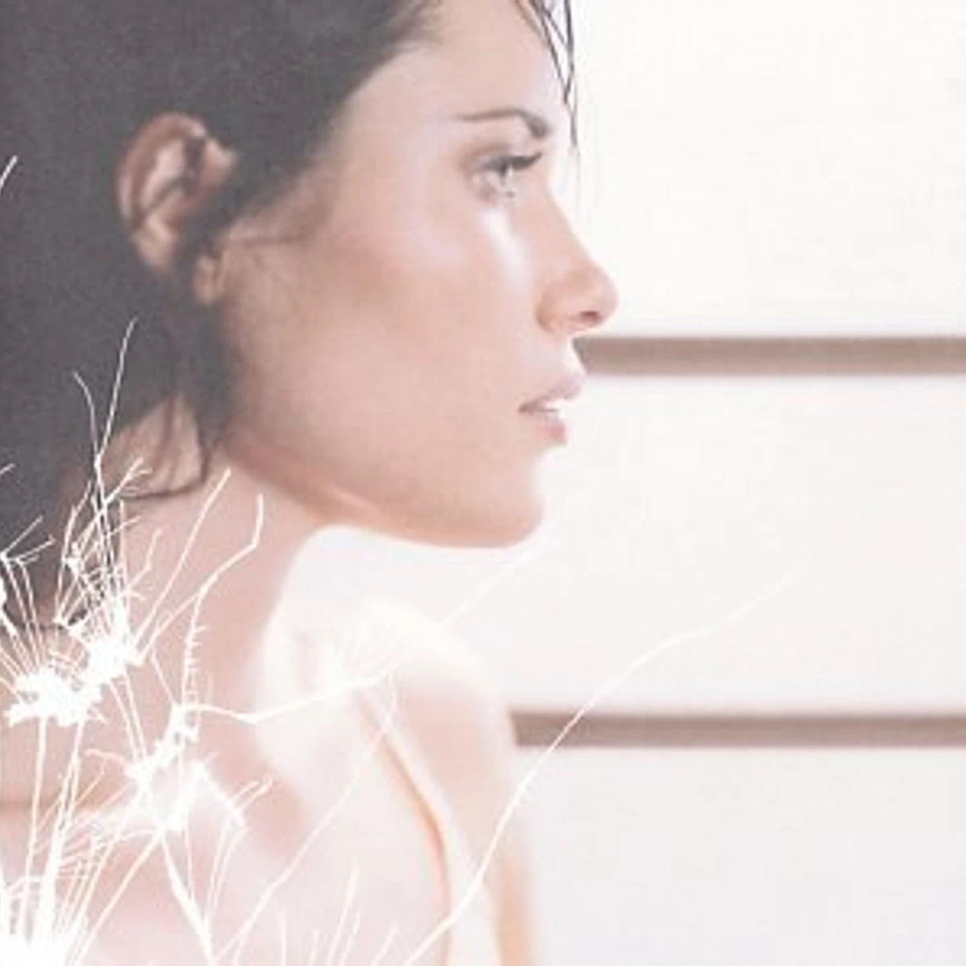 Shannon McNally JUKEBOX SPARROWS CD