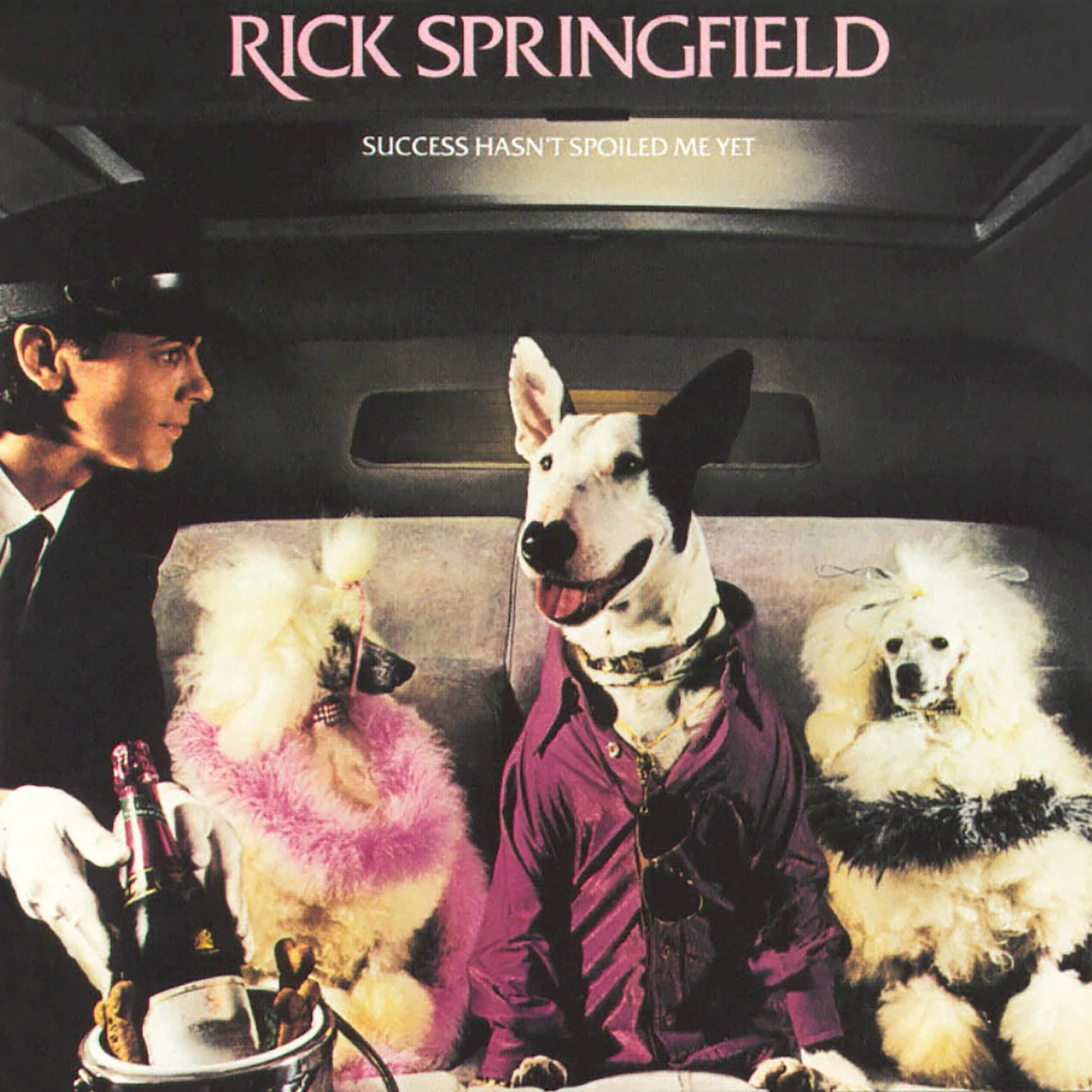 Rick Springfield SUCCESS HASN'T SPOILED ME YET CD