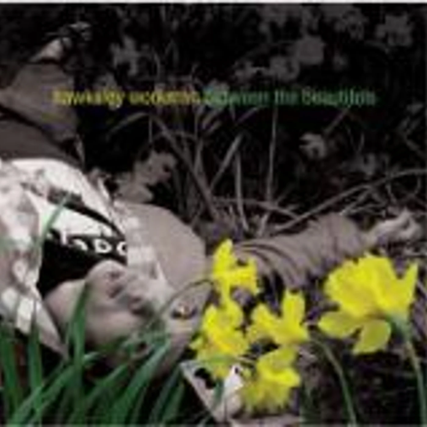 Hawksley Workman BETWEEN THE BEAUTIFULS CD
