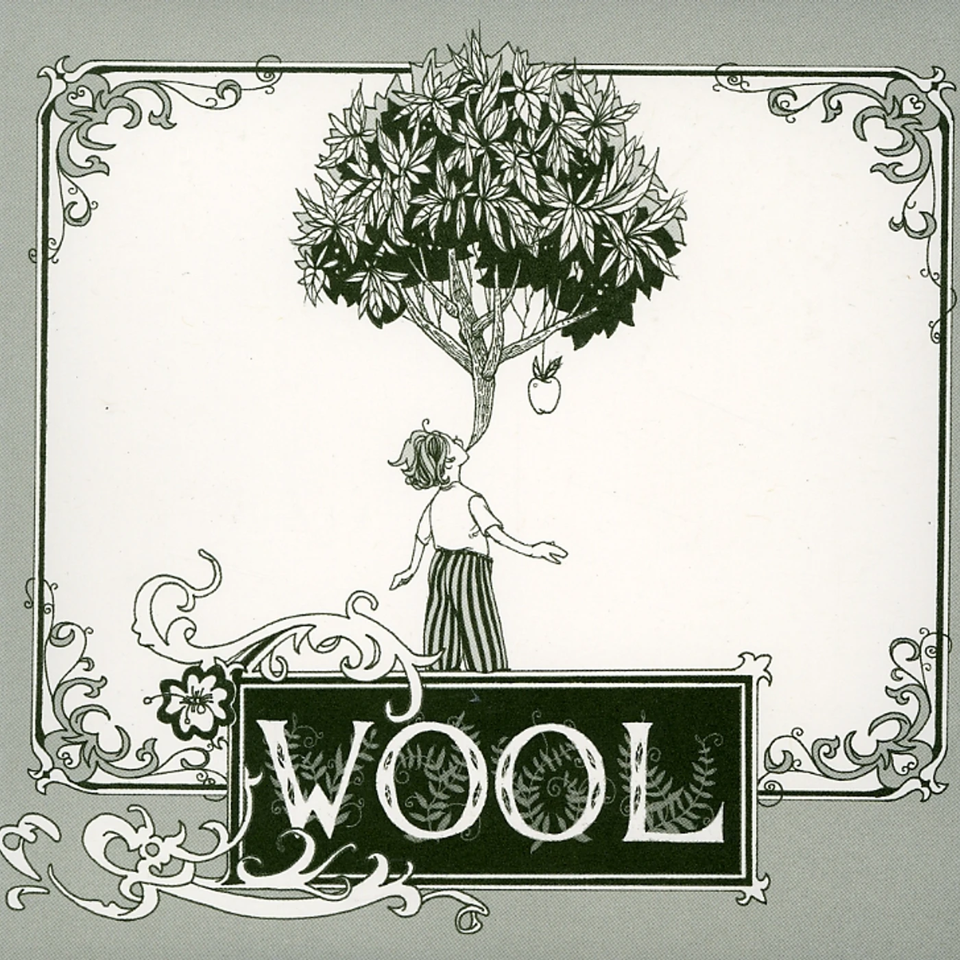 Nick Jaina WOOL CD