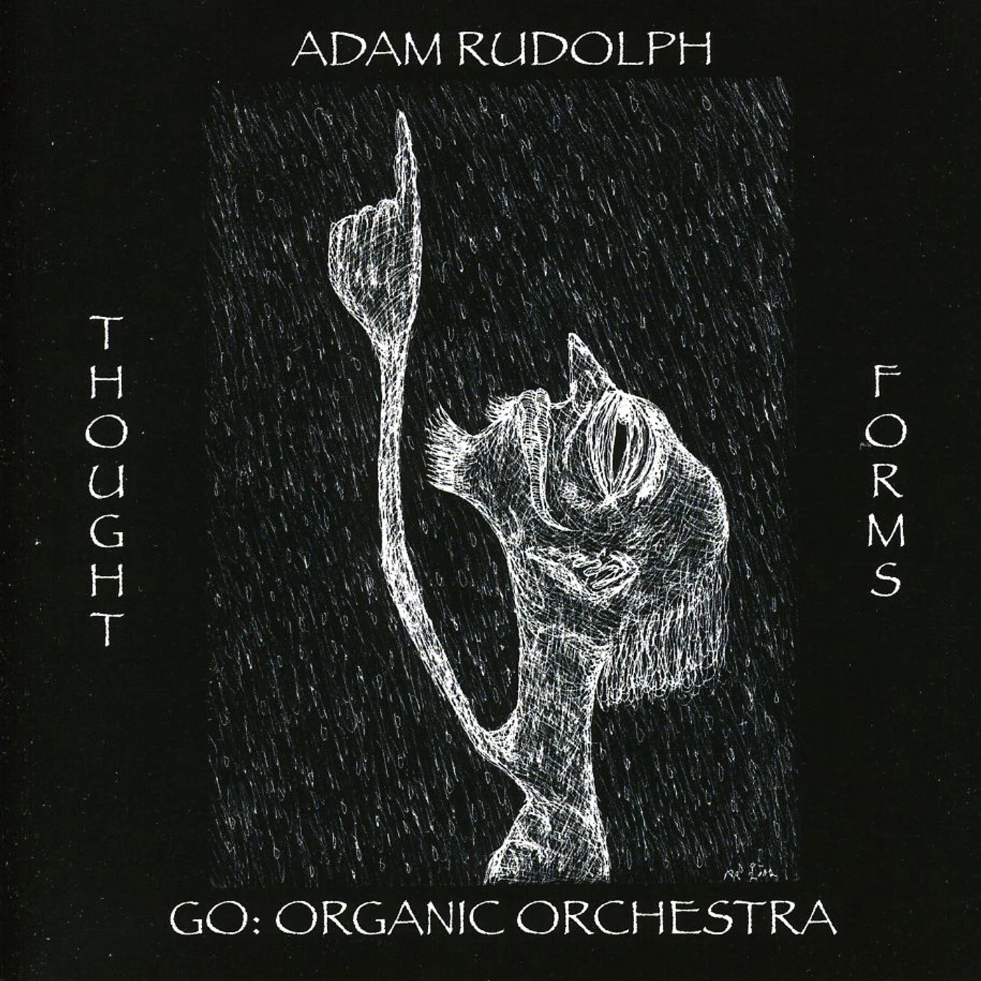 Adam Rudolph THOUGHT FORMS-GO: ORGANIC ORCHESTRA CD