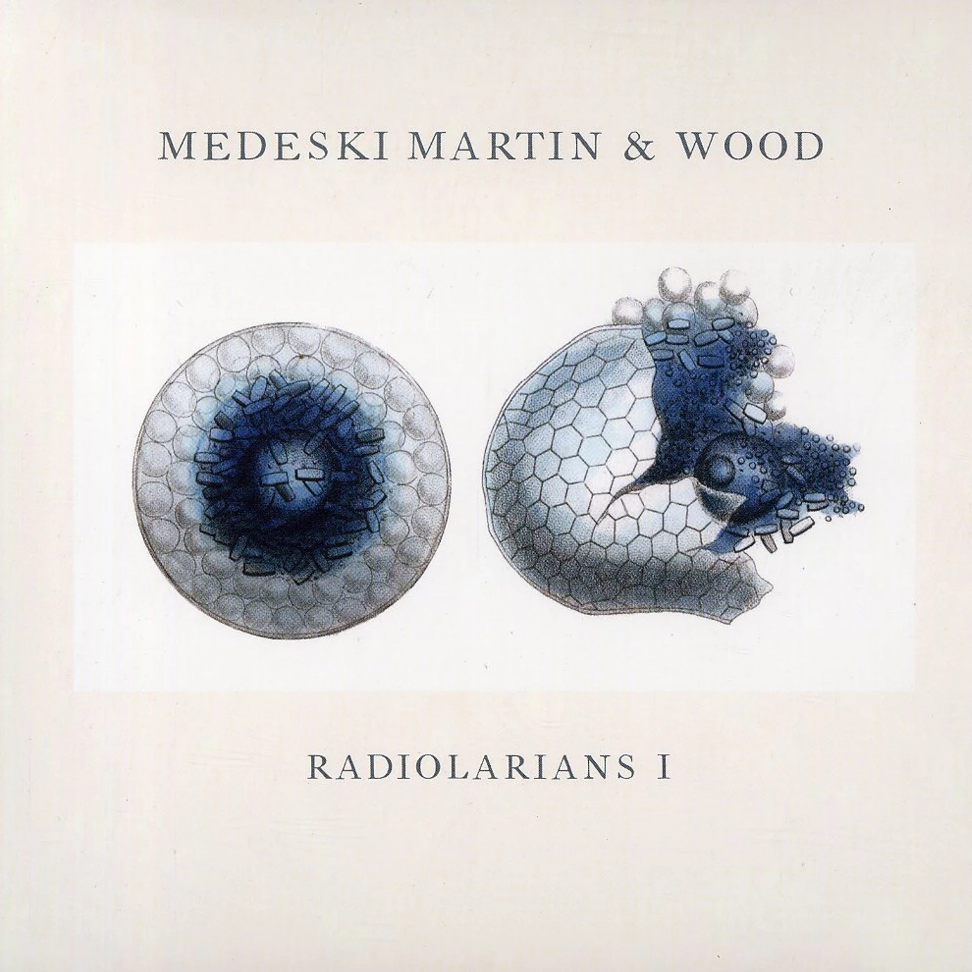 Medeski, Martin & Wood RADIOLARIANS 1 CD