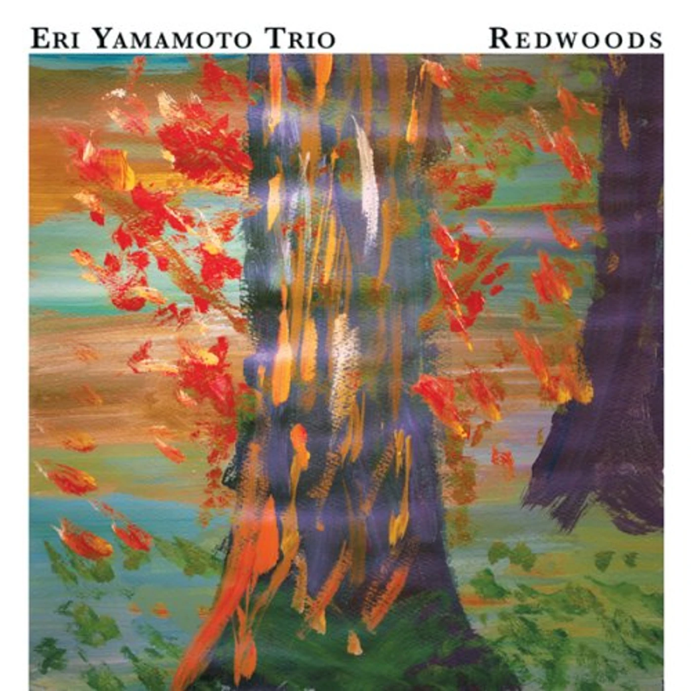 Eri Yamamoto REDWOODS CD