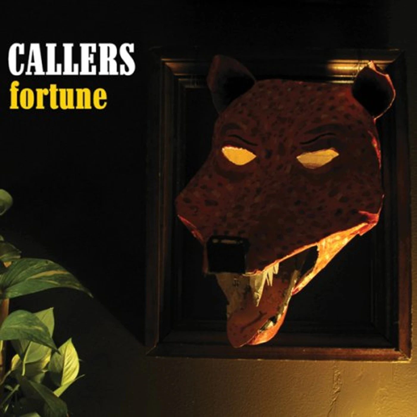 Callers FORTUNE CD