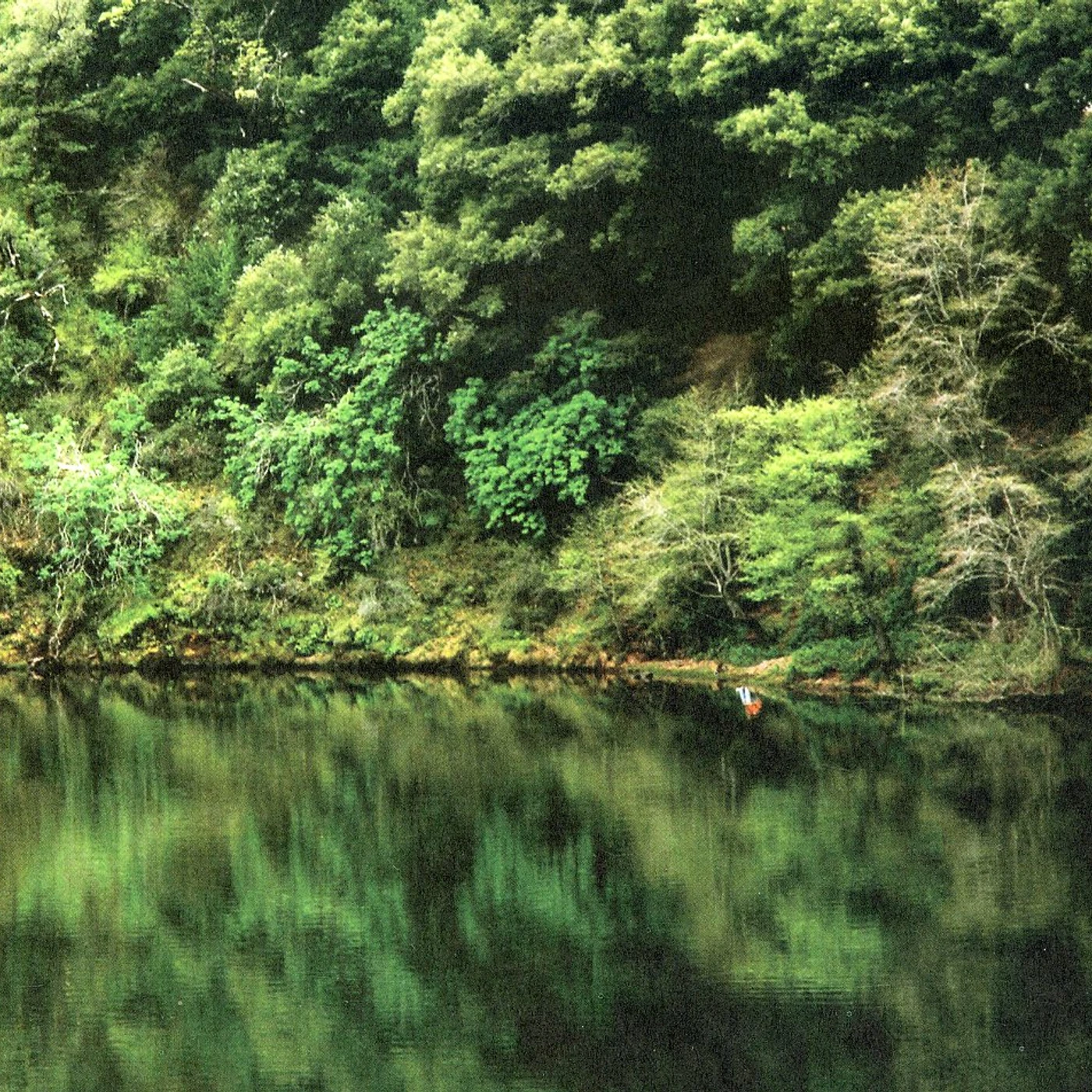 Conifer CROWN FIRE CD