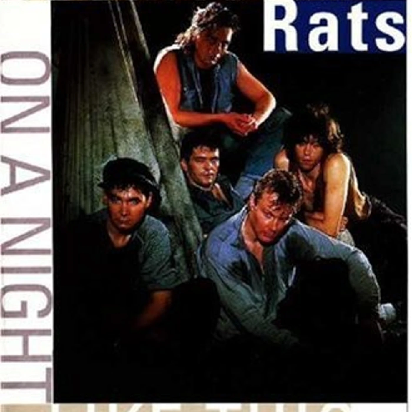 The Boomtown Rats ON A NIGHT LIKE THIS DVD