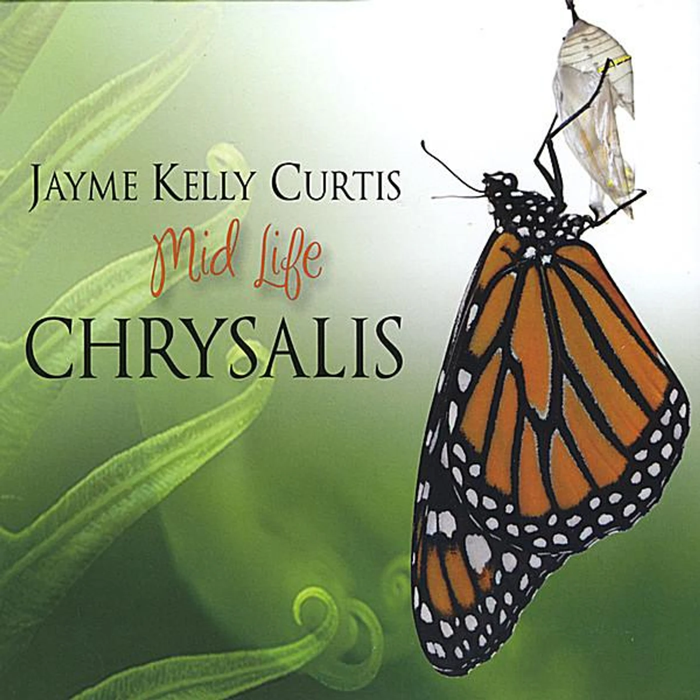 Jayme Kelly Curtis MID LIFE CHRYSALIS CD