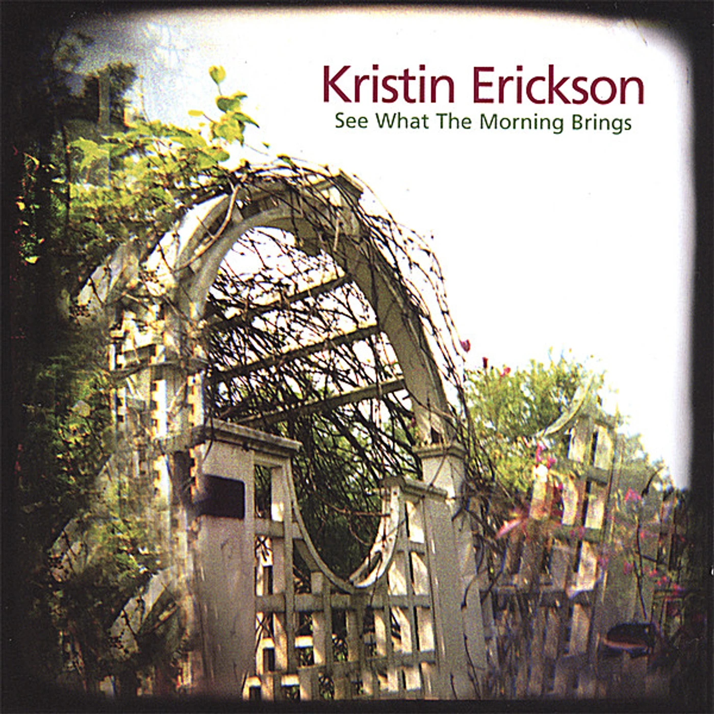 Kristin Erickson SEE WHAT THE MORNING BRINGS CD