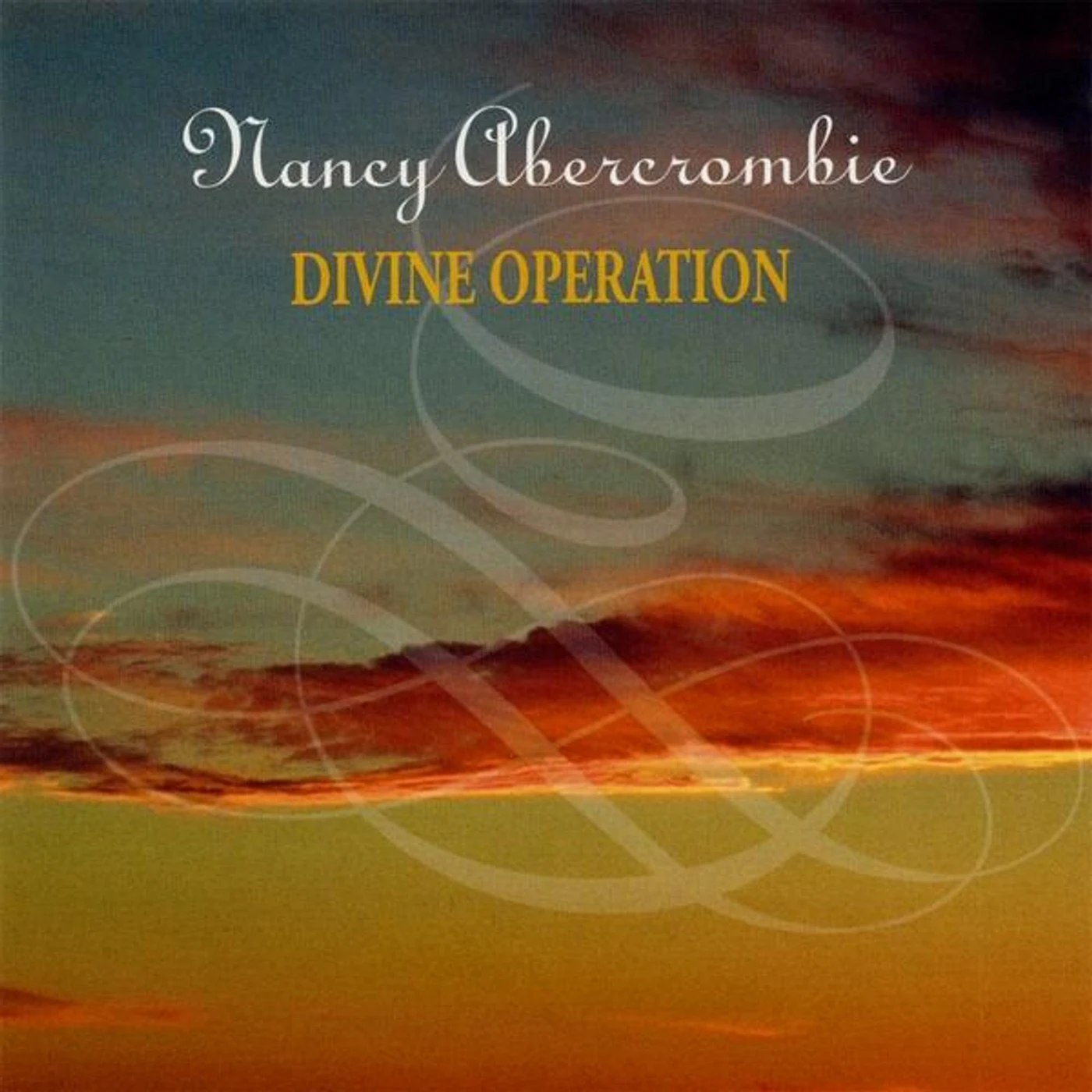 Nancy Abercrombie DIVINE OPERATION CD