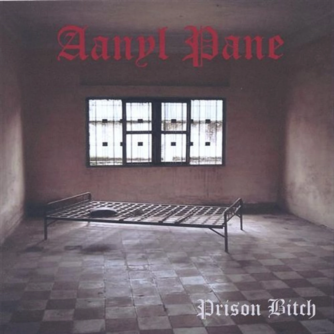 Aanyl Pane PRISON BITCH CD