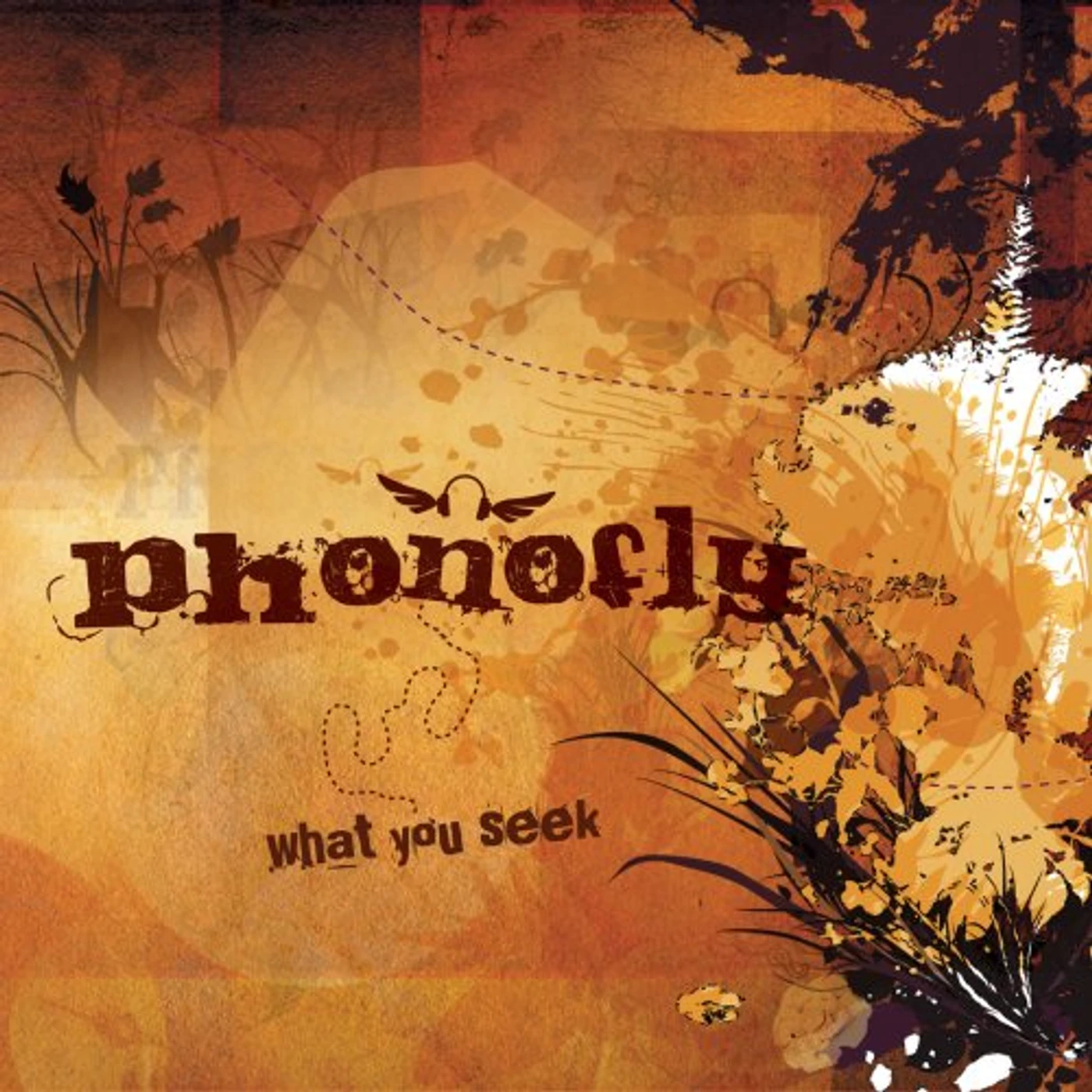 Phonofly WHAT YOU SEEK CD