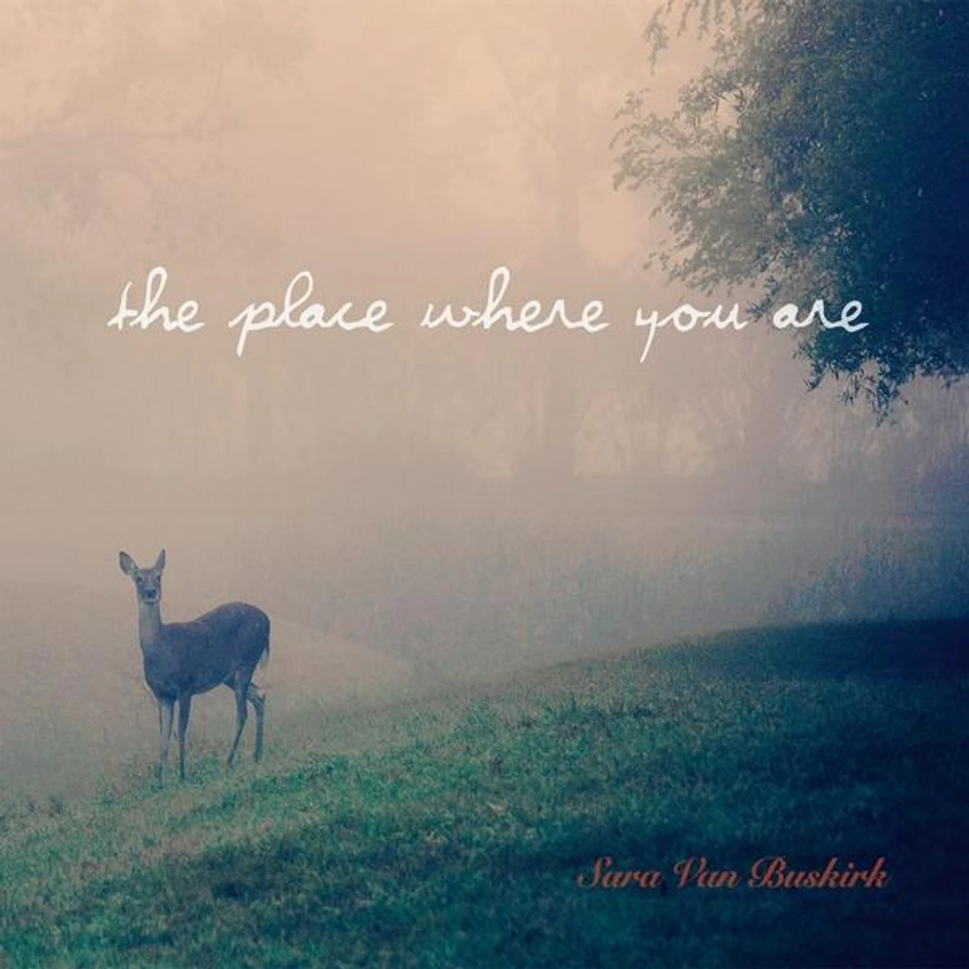 Sara Van Buskirk PLACE WHERE YOU ARE CD