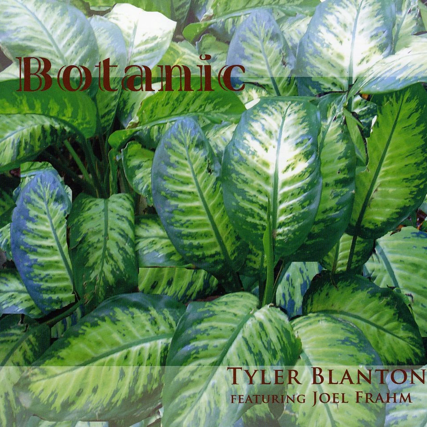 Tyler Blanton BOTANIC CD
