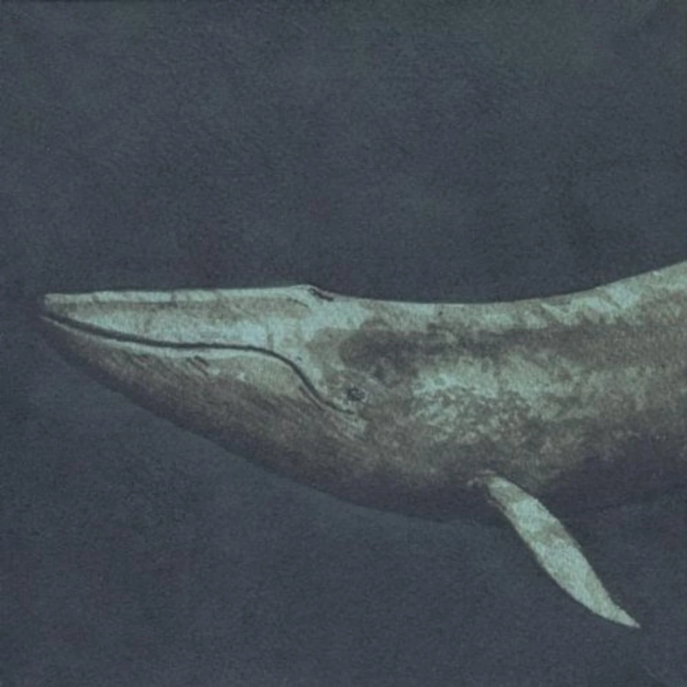 Seth Bernard BEING THIS BEING (REMASTERED) CD