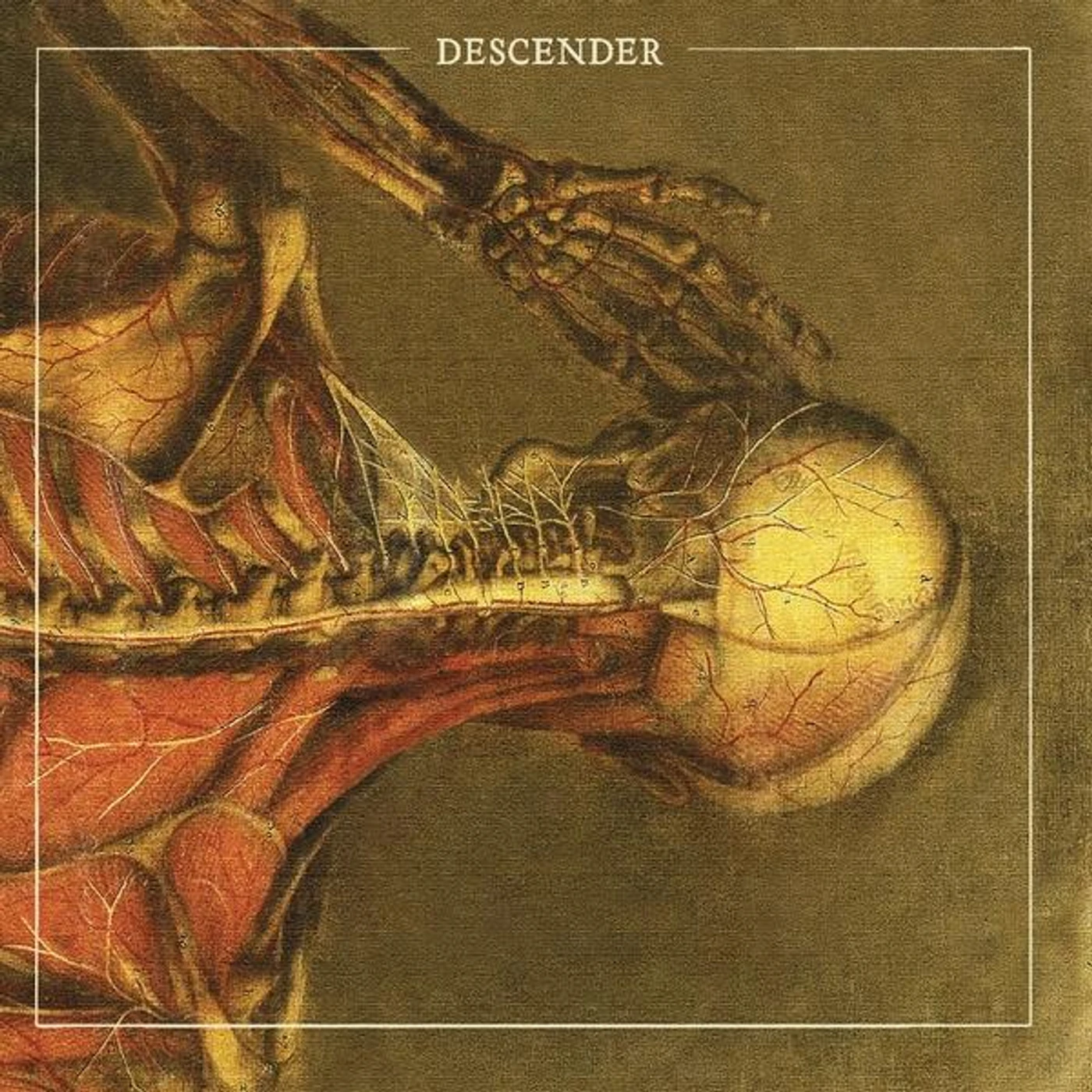 DESCENDER CD
