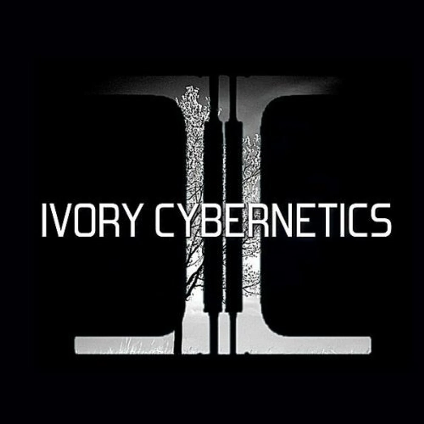 IVORY CYBERNETICS CD