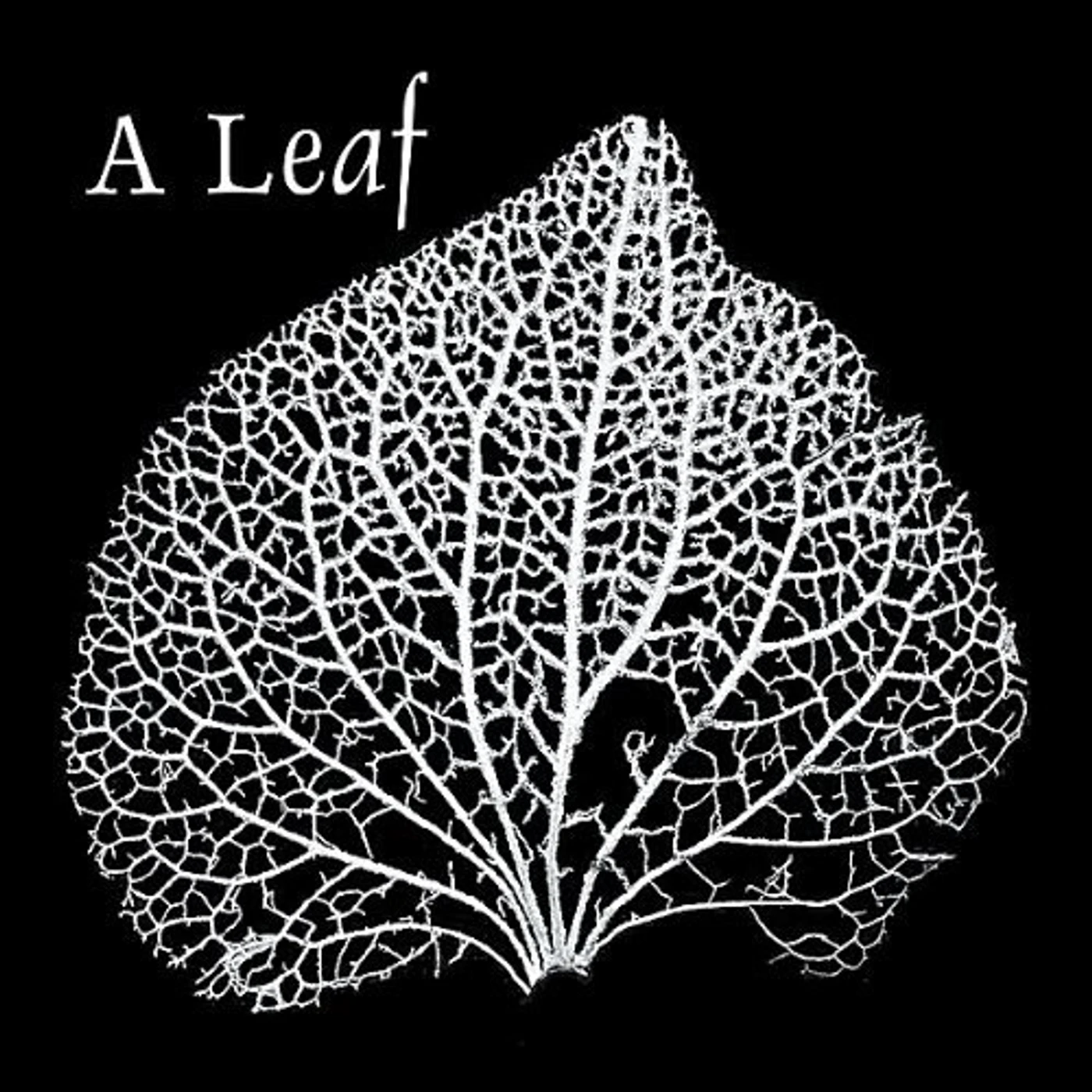 LeaF EP CD