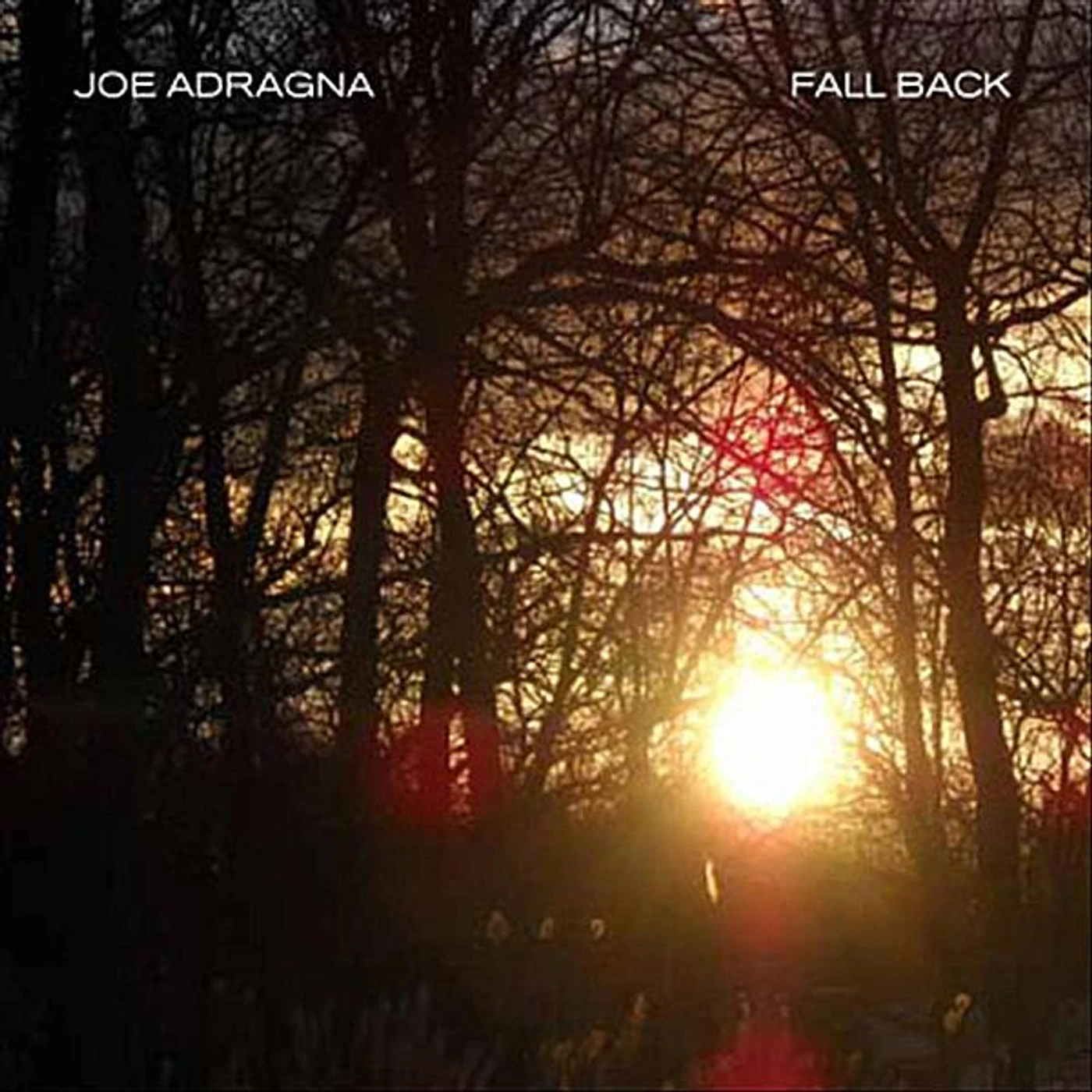 Joe Adragna FALL BACK CD