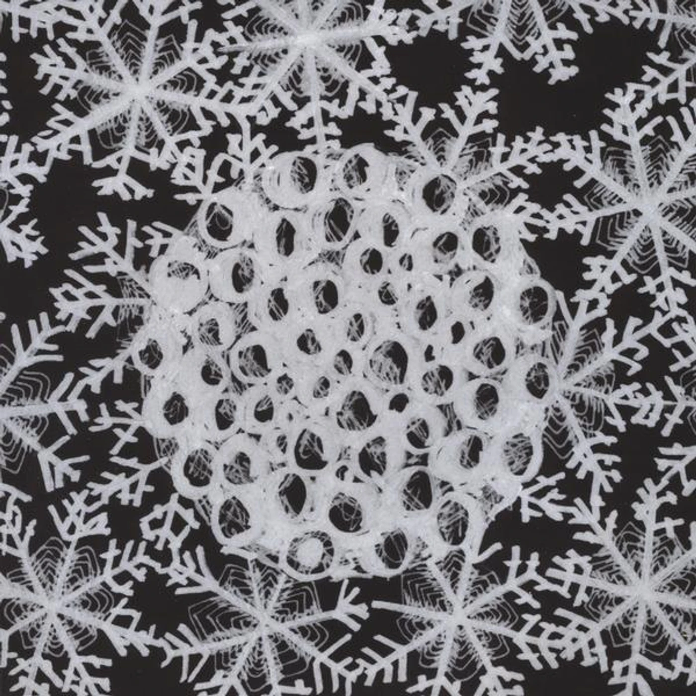 Majutsu no Niwa ECSTATIC CRYSTALLIZATION CD