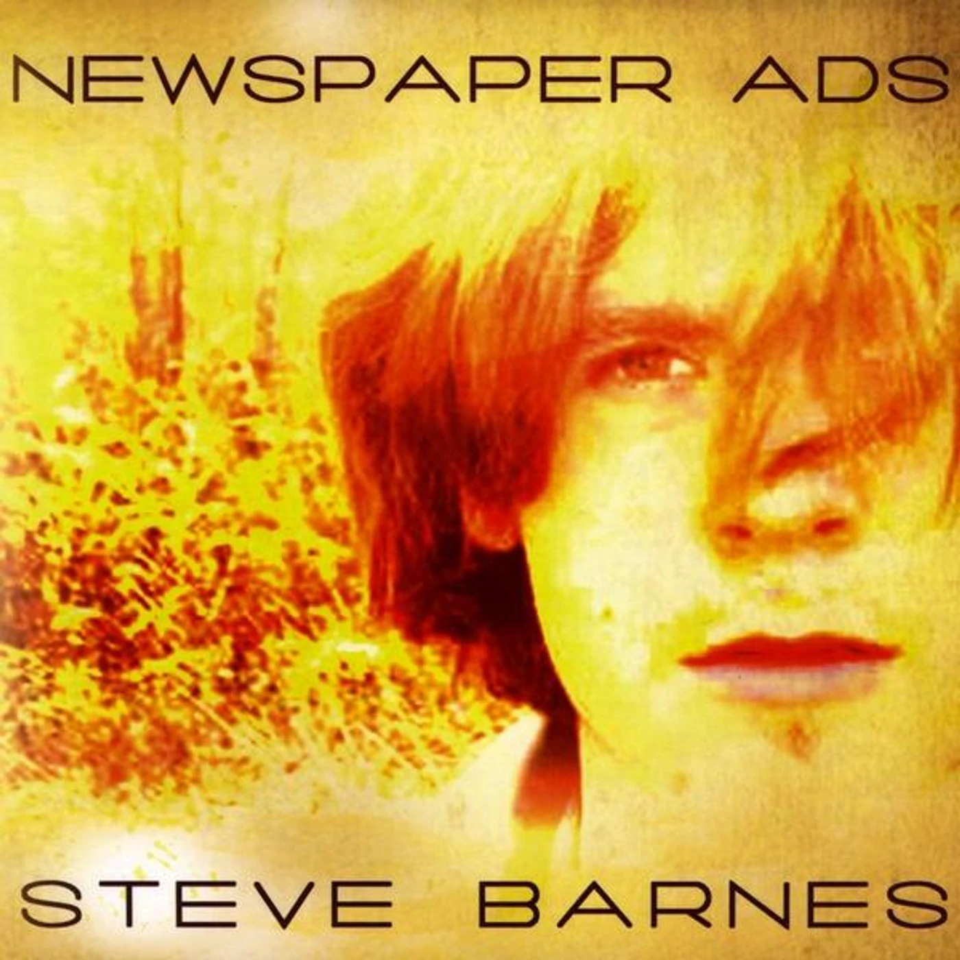 Steve Barnes NEWSPAPER ADS CD