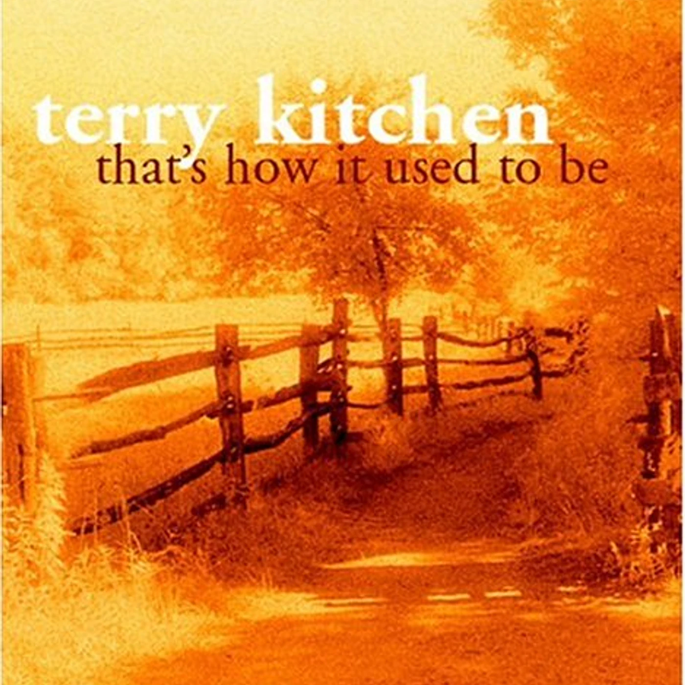 Terry Kitchen THAT'S HOW IT USED TO BE CD