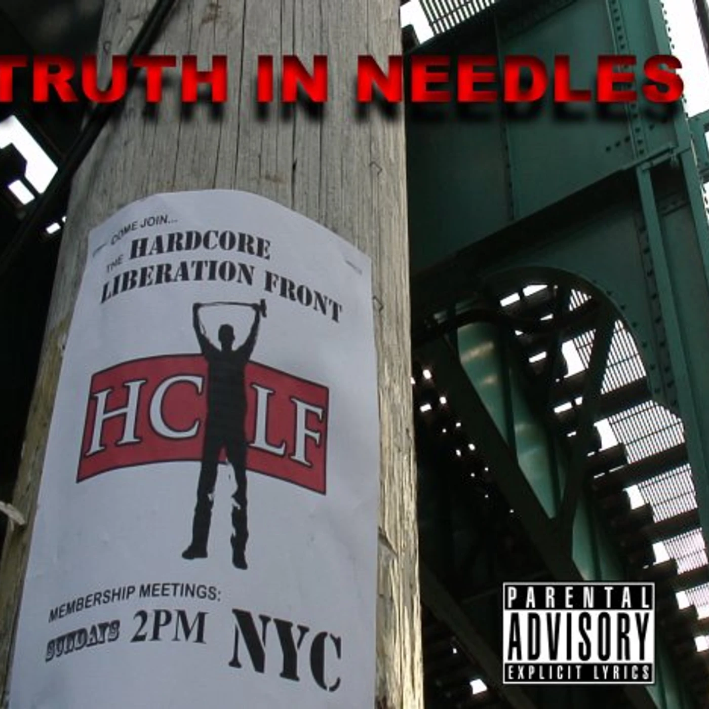 Truth In Needles HARDCORE LIBERATION FRONT CD
