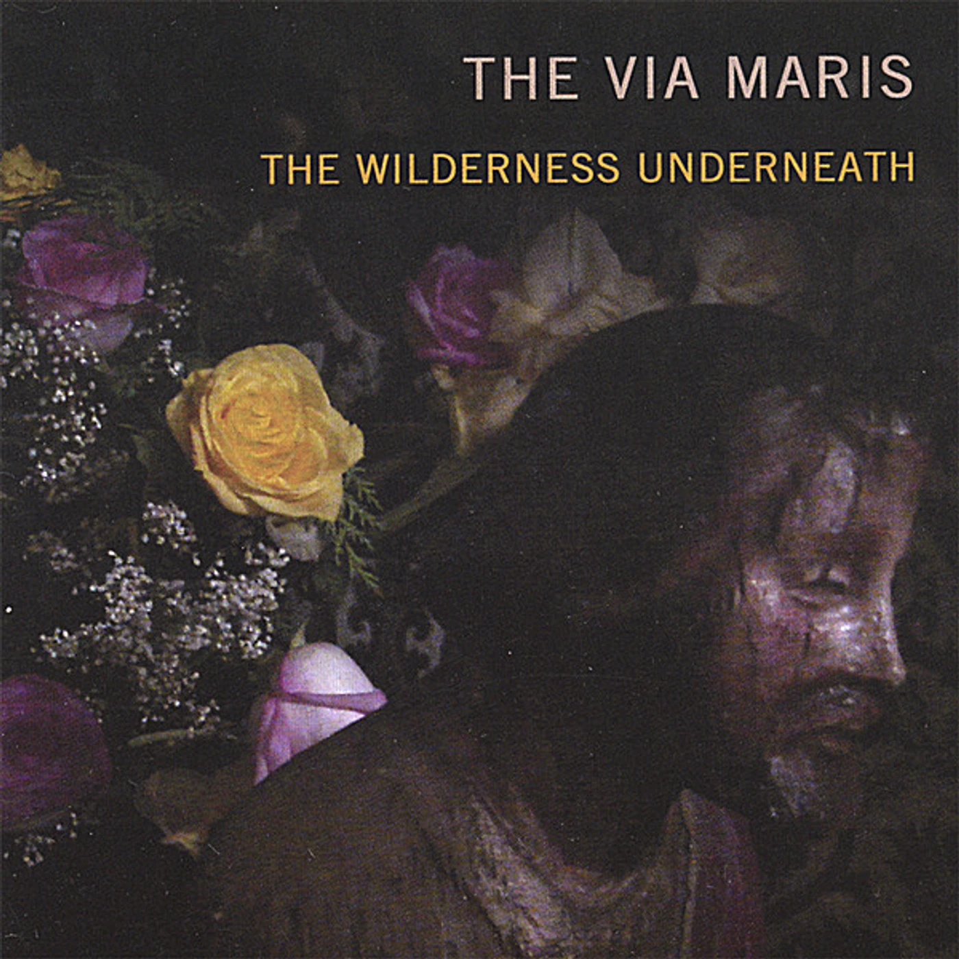 Via Maris WILDERNESS UNDERNEATH CD
