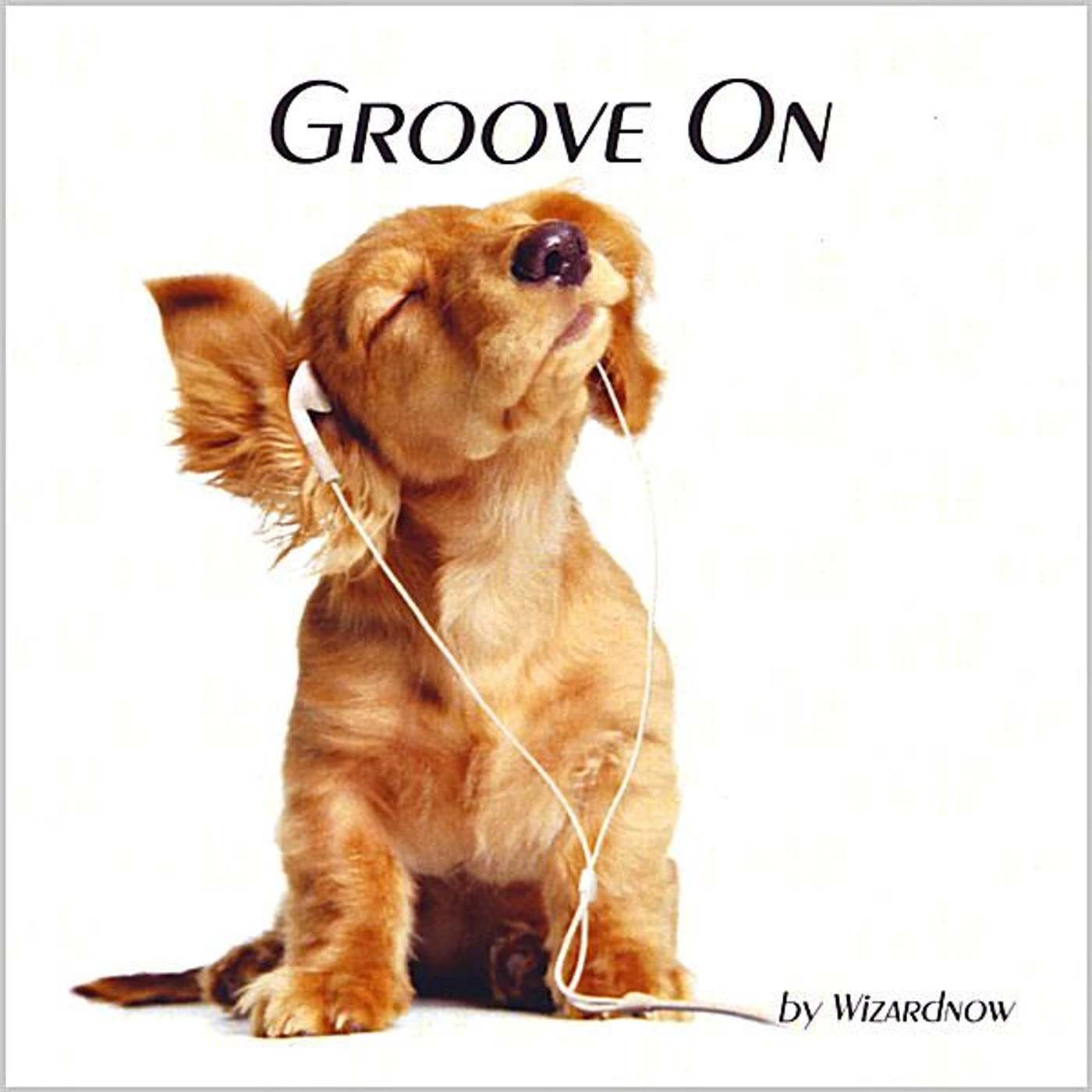 Wizardnow GROOVE ON CD