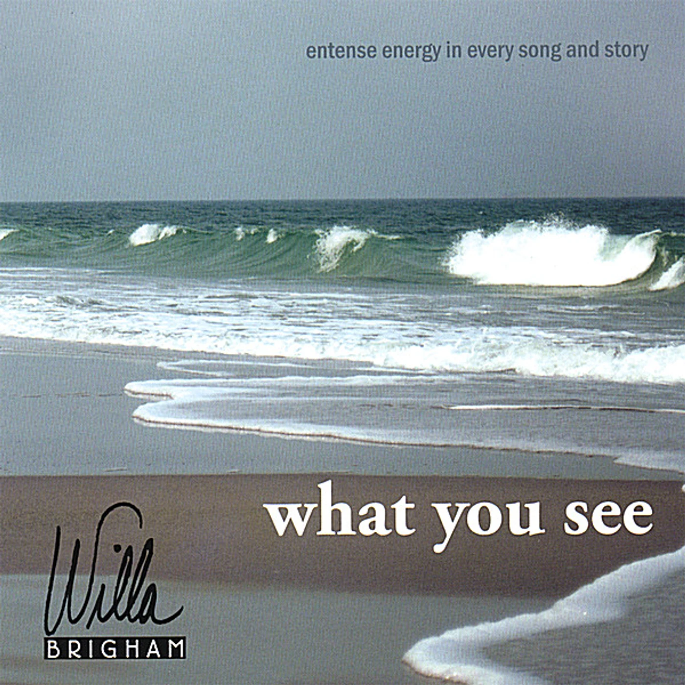 Willa Brigham WHAT YOU SEE CD