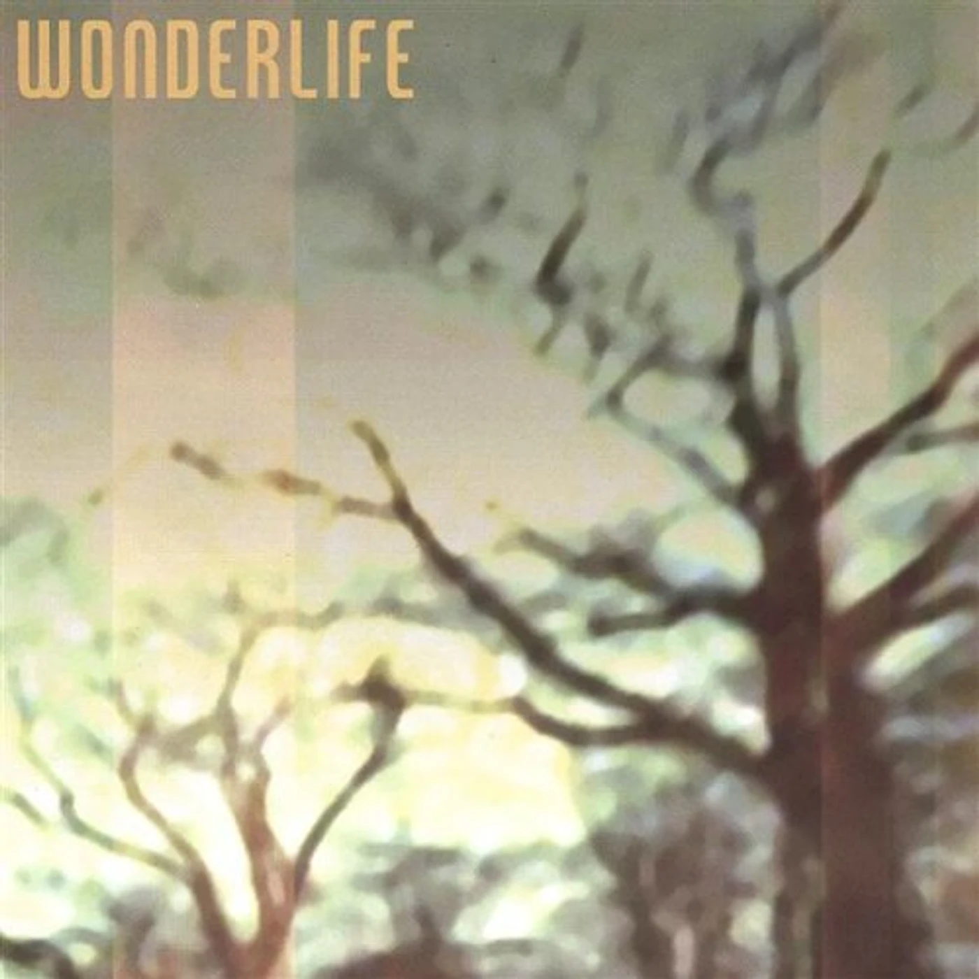 WONDERLIFE CD
