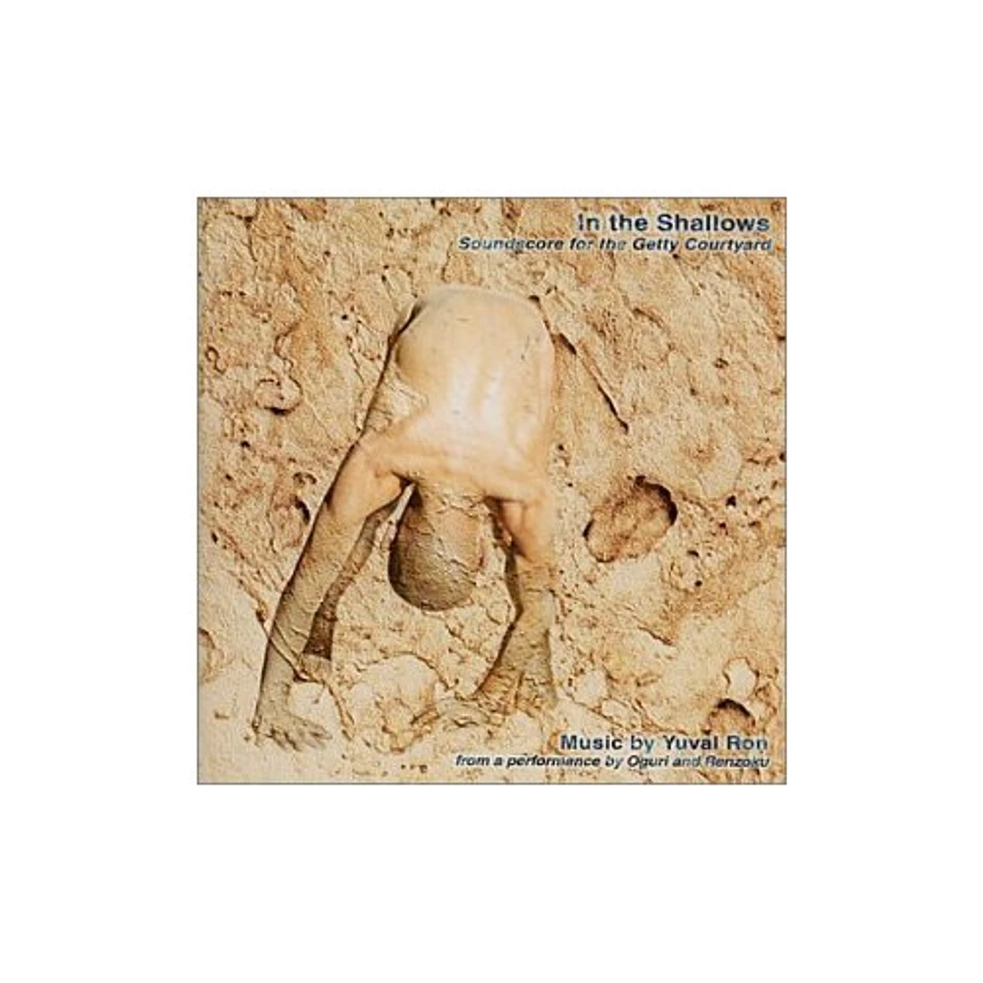 Yuval Ron IN THE SHALLOWS CD