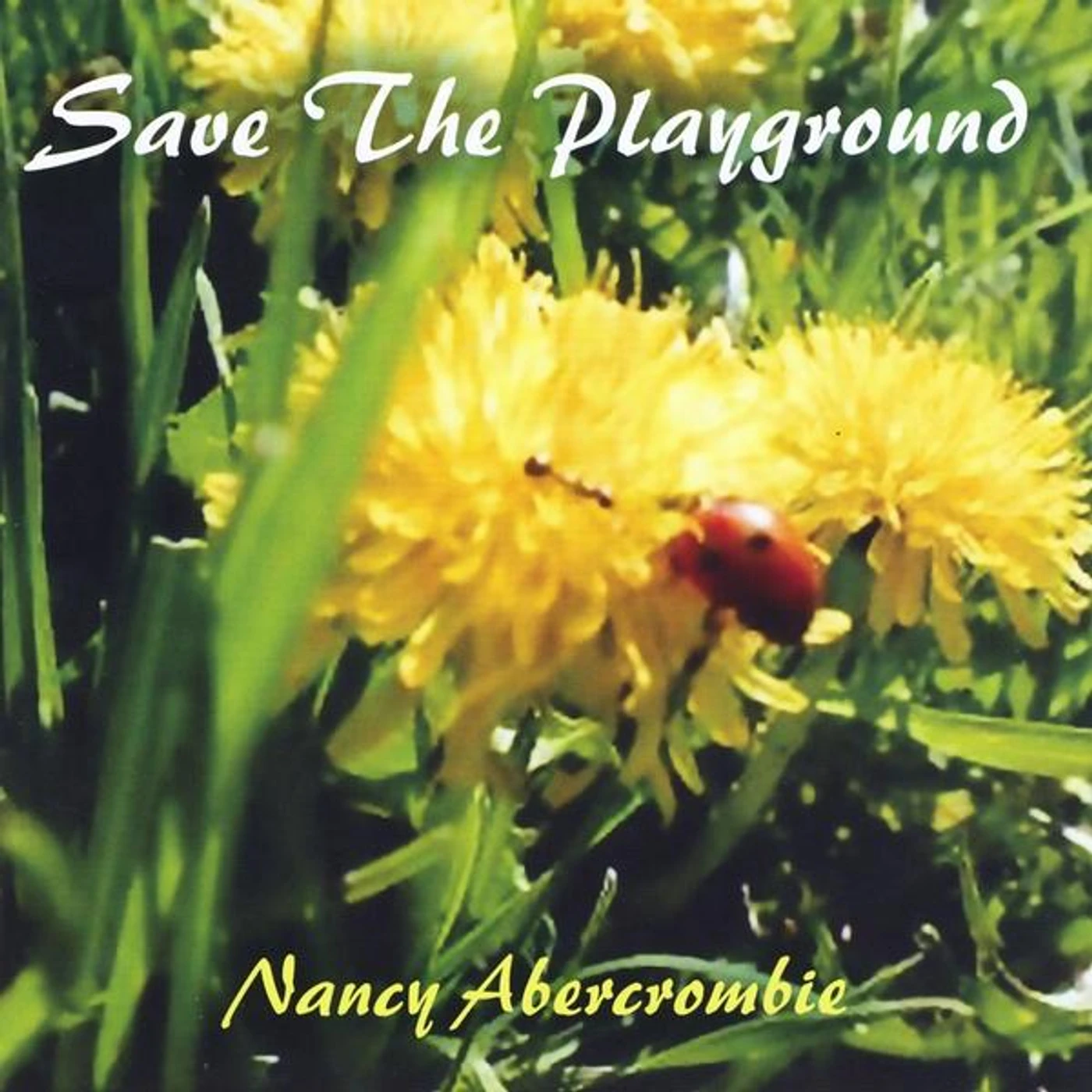 Nancy Abercrombie SAVE THE PLAYGROUND CD