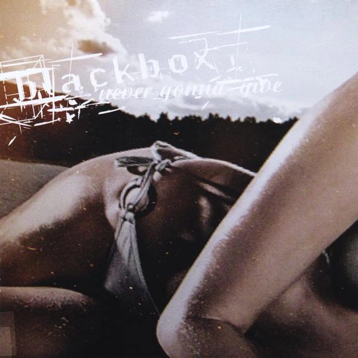 Blackbox NEVER GONNA GIVE CD