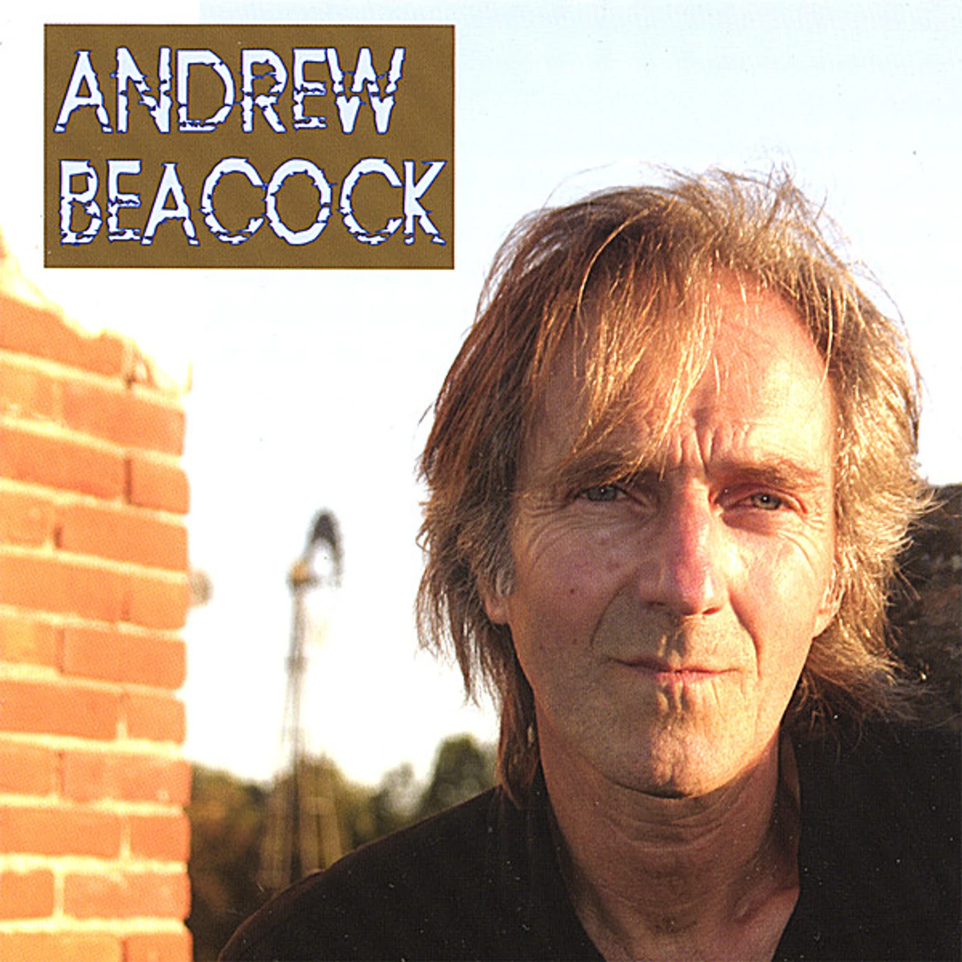Anemona Brainwave BRAIN MASSAGE-SINGLE CD